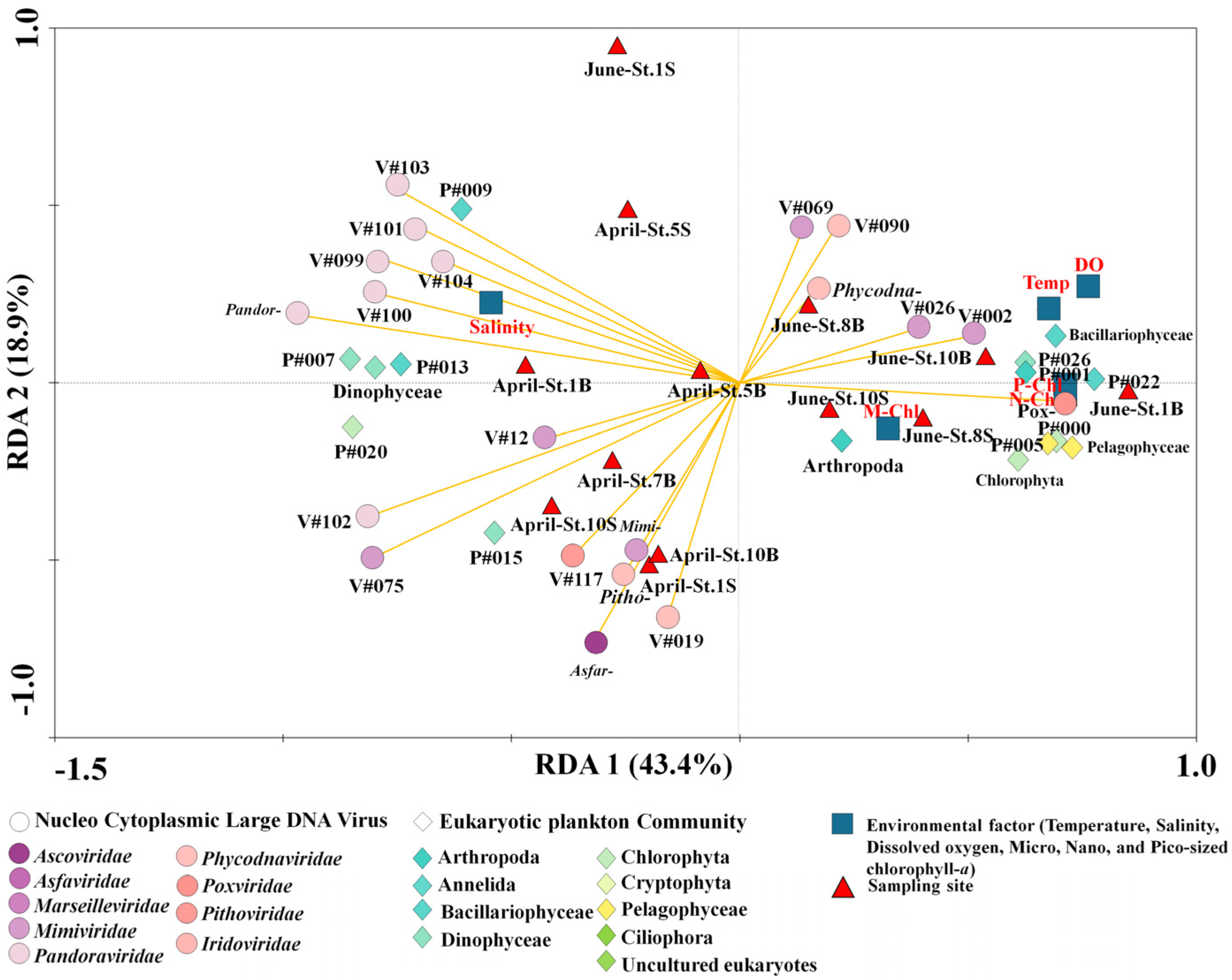 Microorganisms 11 00169 g006 Microorganisms 11 00169 g006