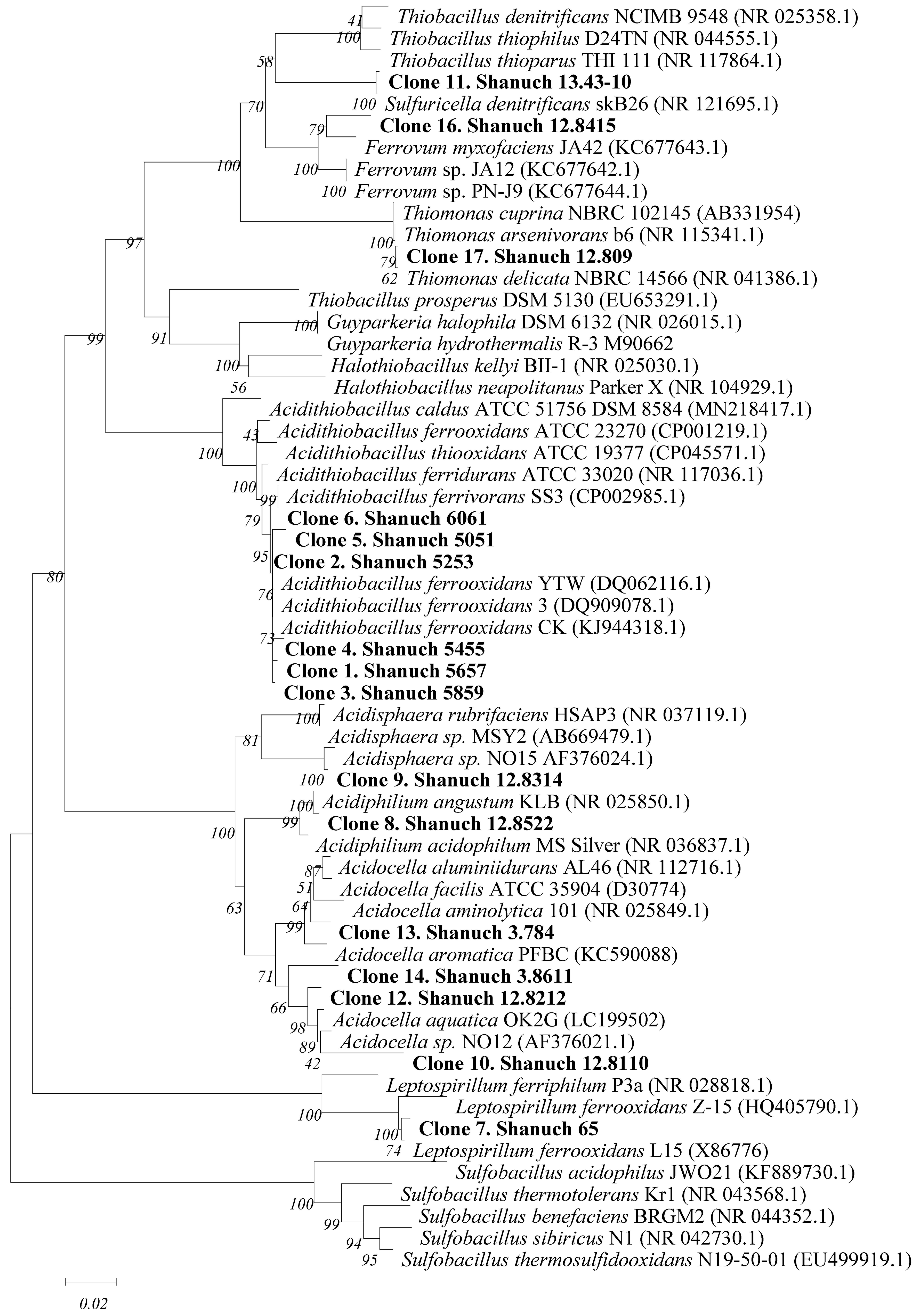 Microorganisms 11 00186 g003