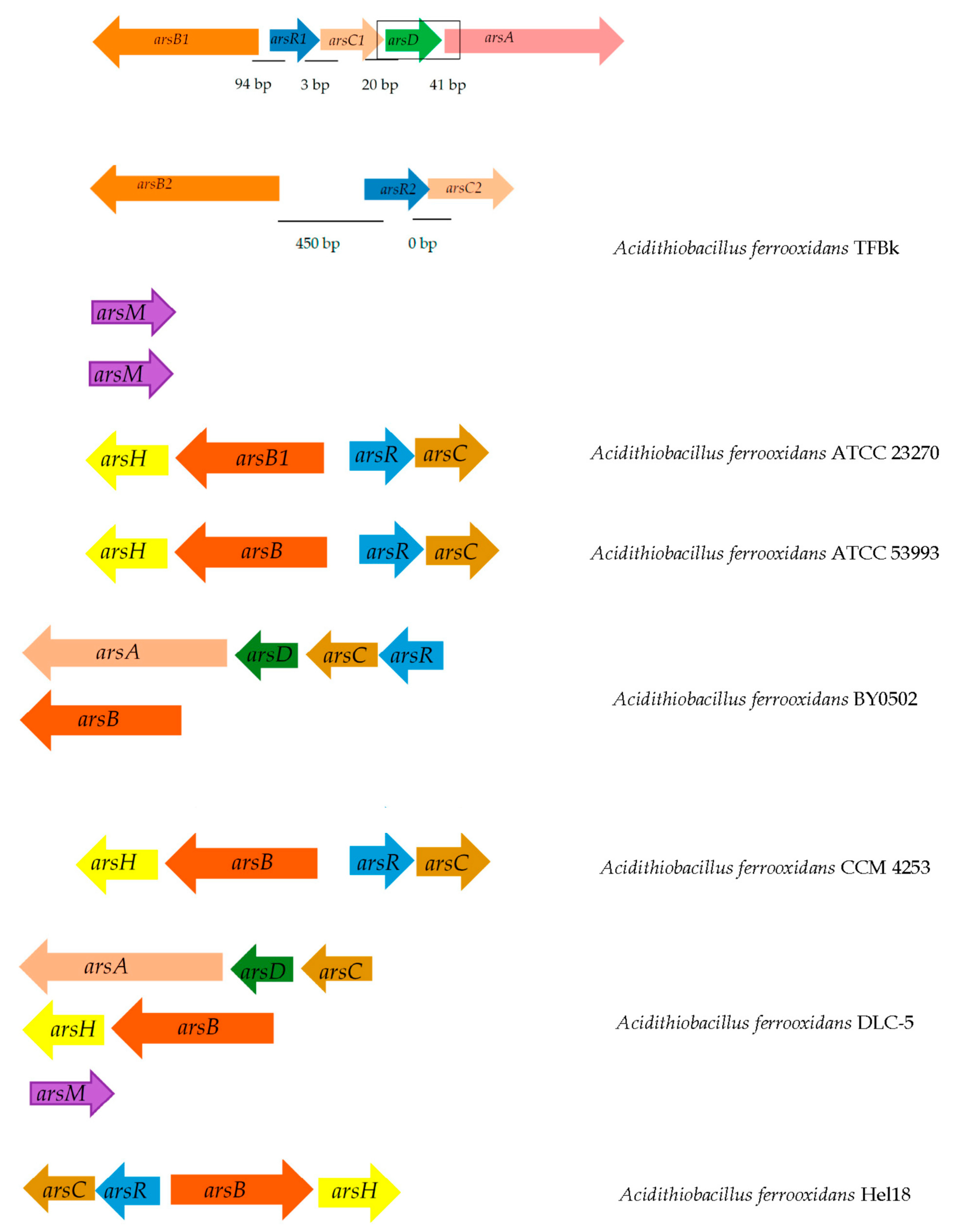 Microorganisms 11 00186 g004a