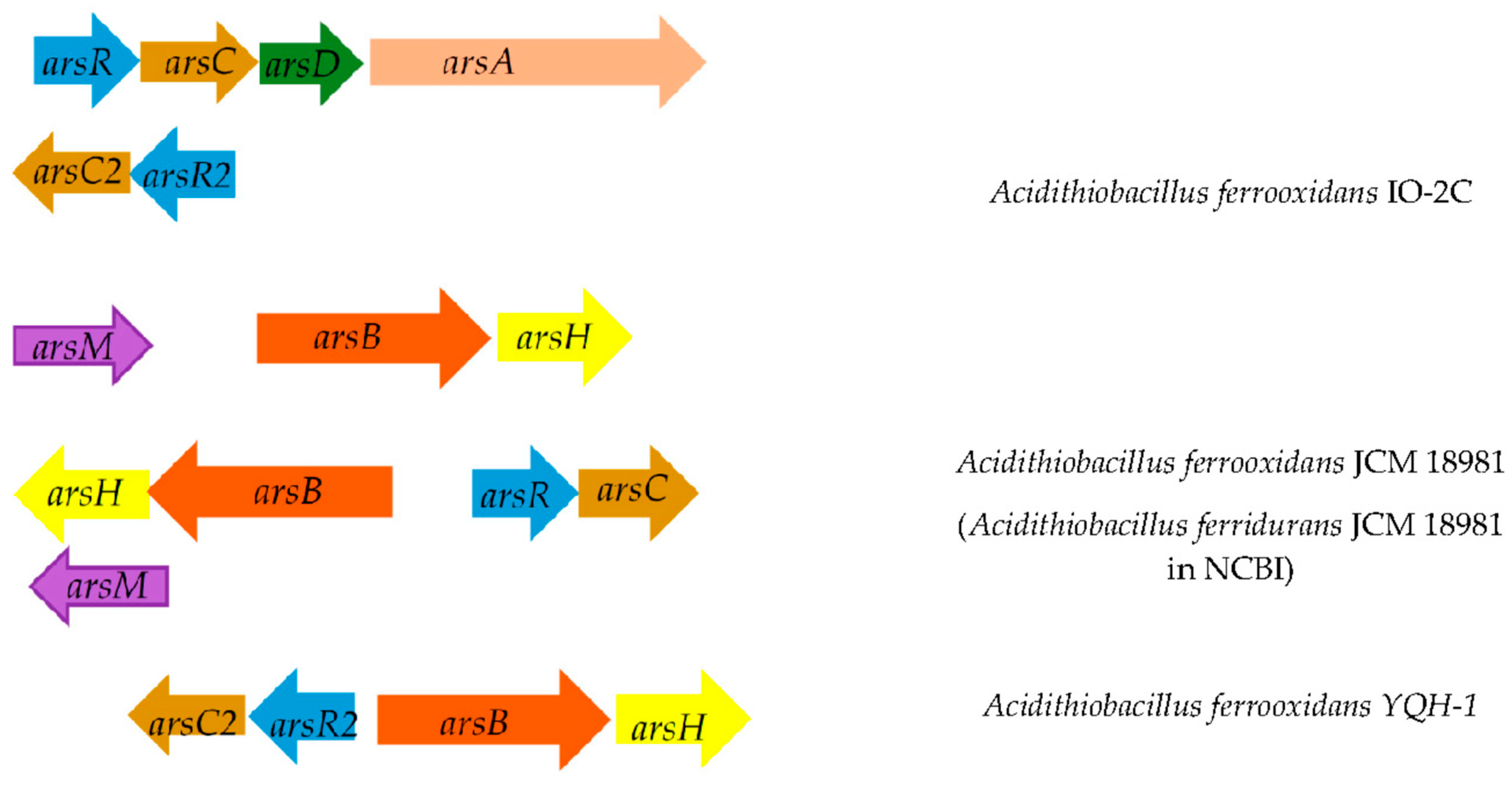 Microorganisms 11 00186 g004b