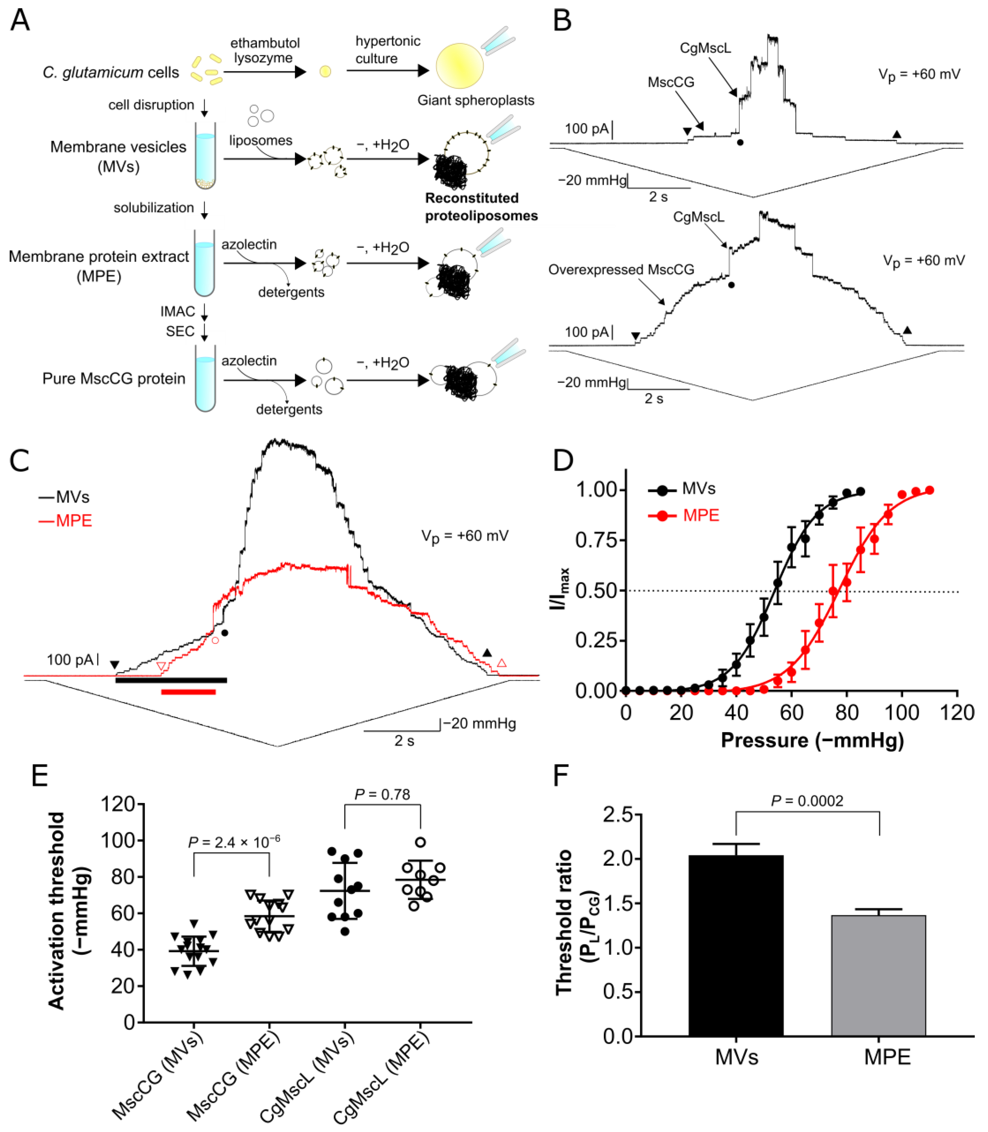 Microorganisms 11 00194 g001 Microorganisms 11 00194 g001