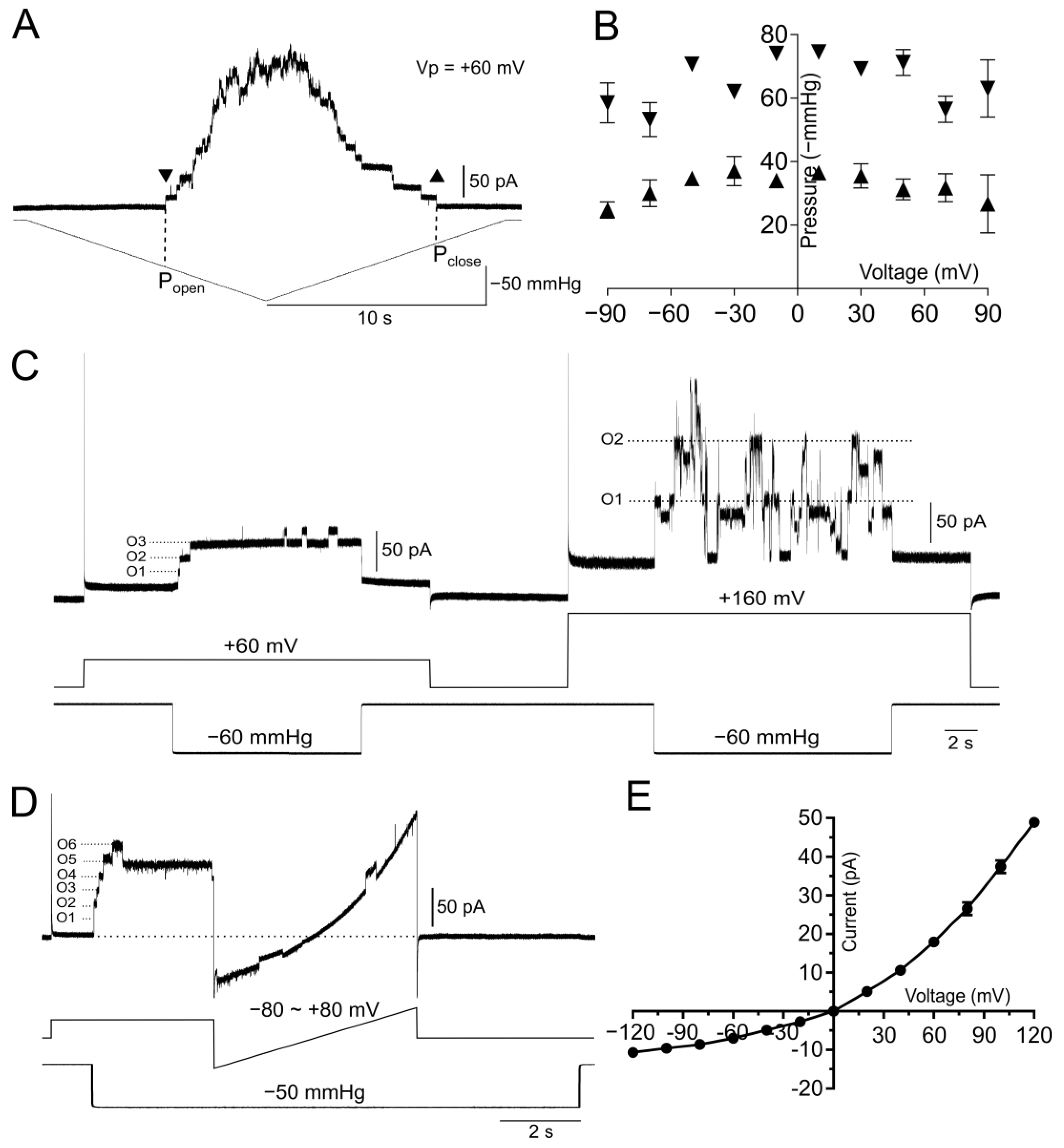 Microorganisms 11 00194 g003 Microorganisms 11 00194 g003