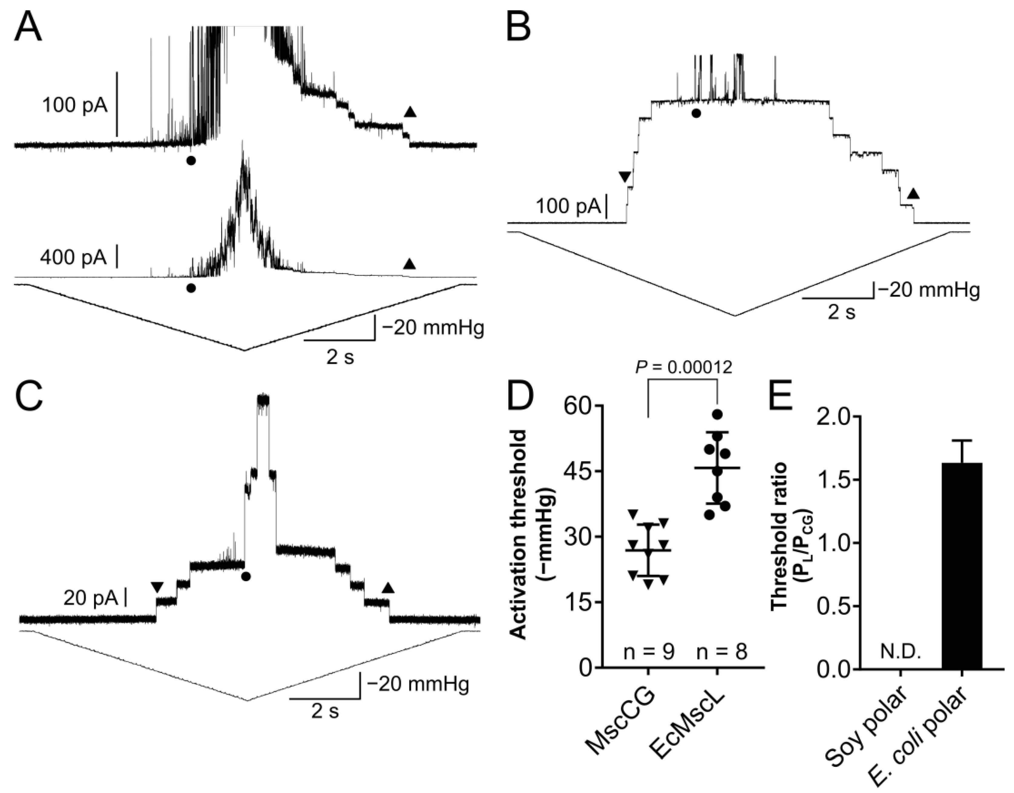 Microorganisms 11 00194 g004 Microorganisms 11 00194 g004