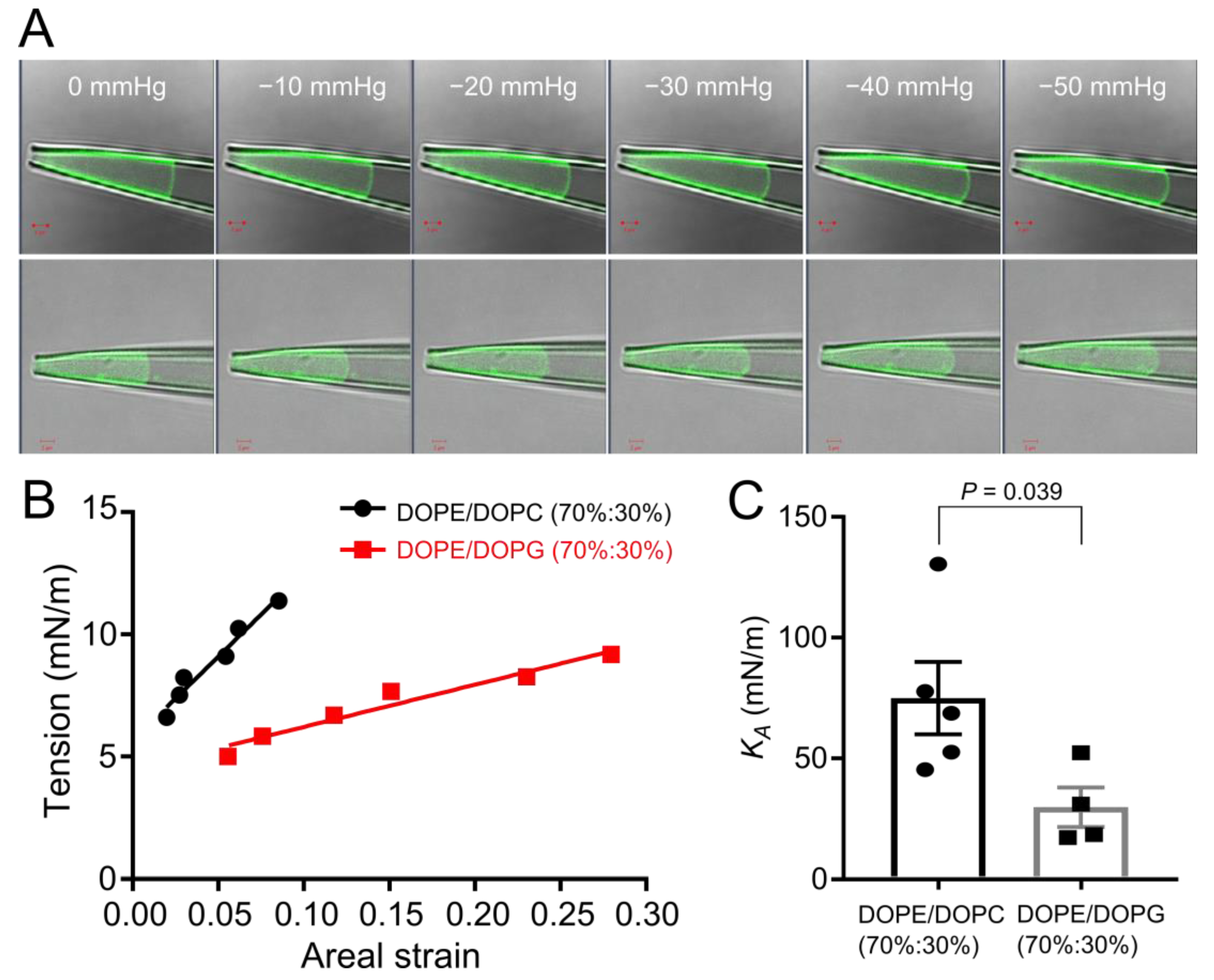 Microorganisms 11 00194 g006 Microorganisms 11 00194 g006