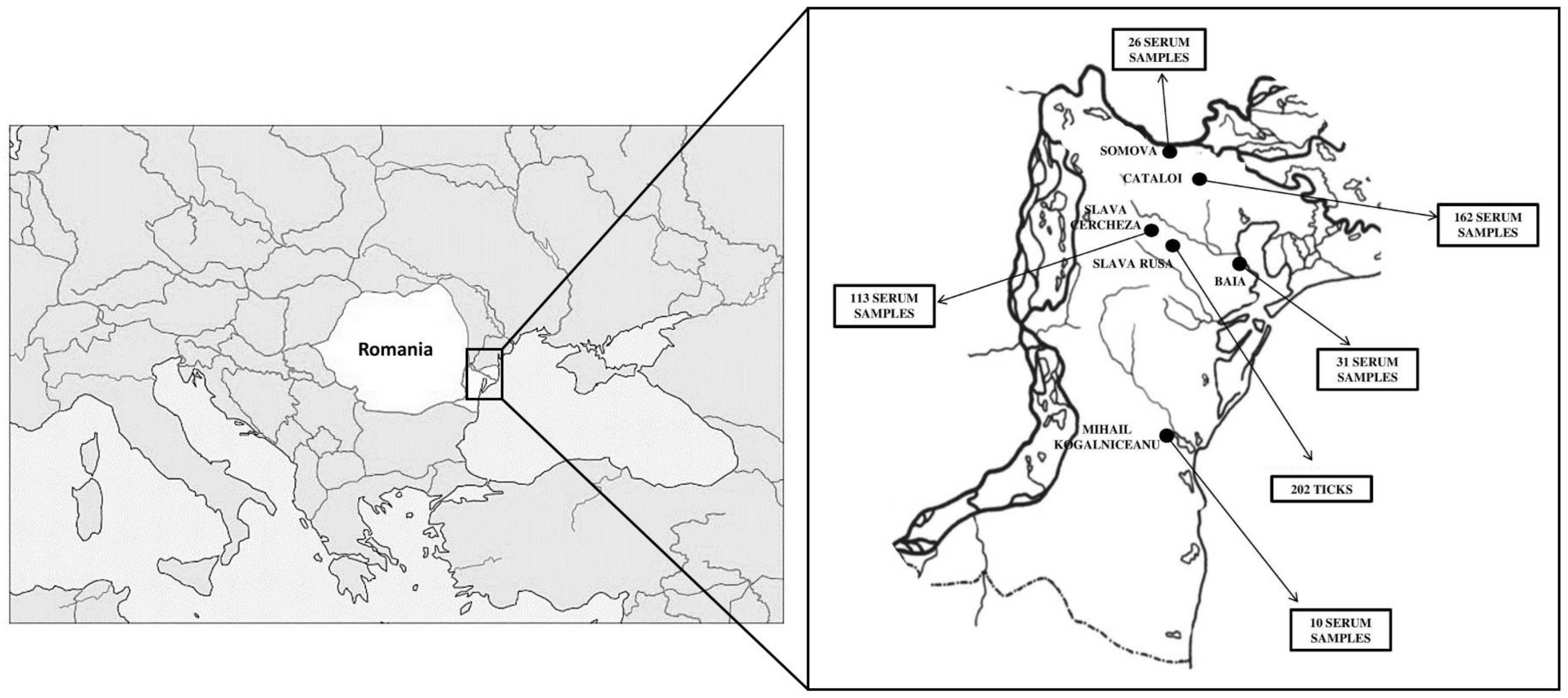 Microorganisms 11 00209 g001 Microorganisms 11 00209 g001