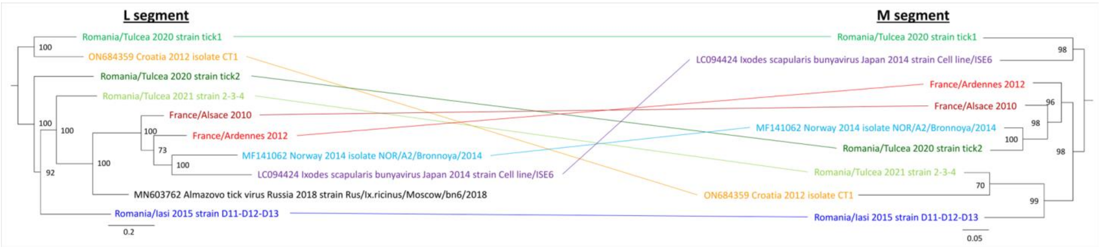 Microorganisms 11 00209 g004 Microorganisms 11 00209 g004