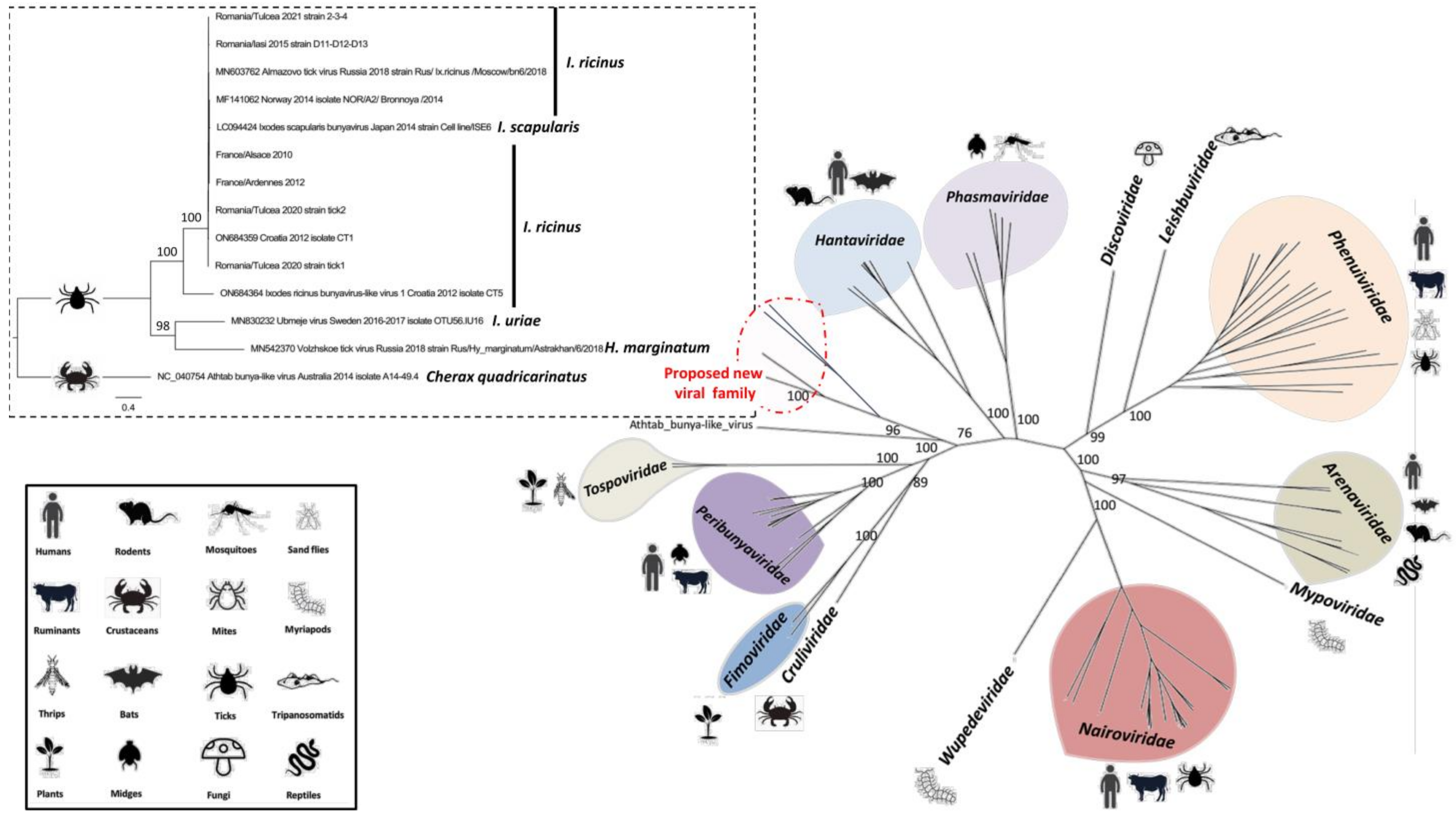 Microorganisms 11 00209 g005 Microorganisms 11 00209 g005