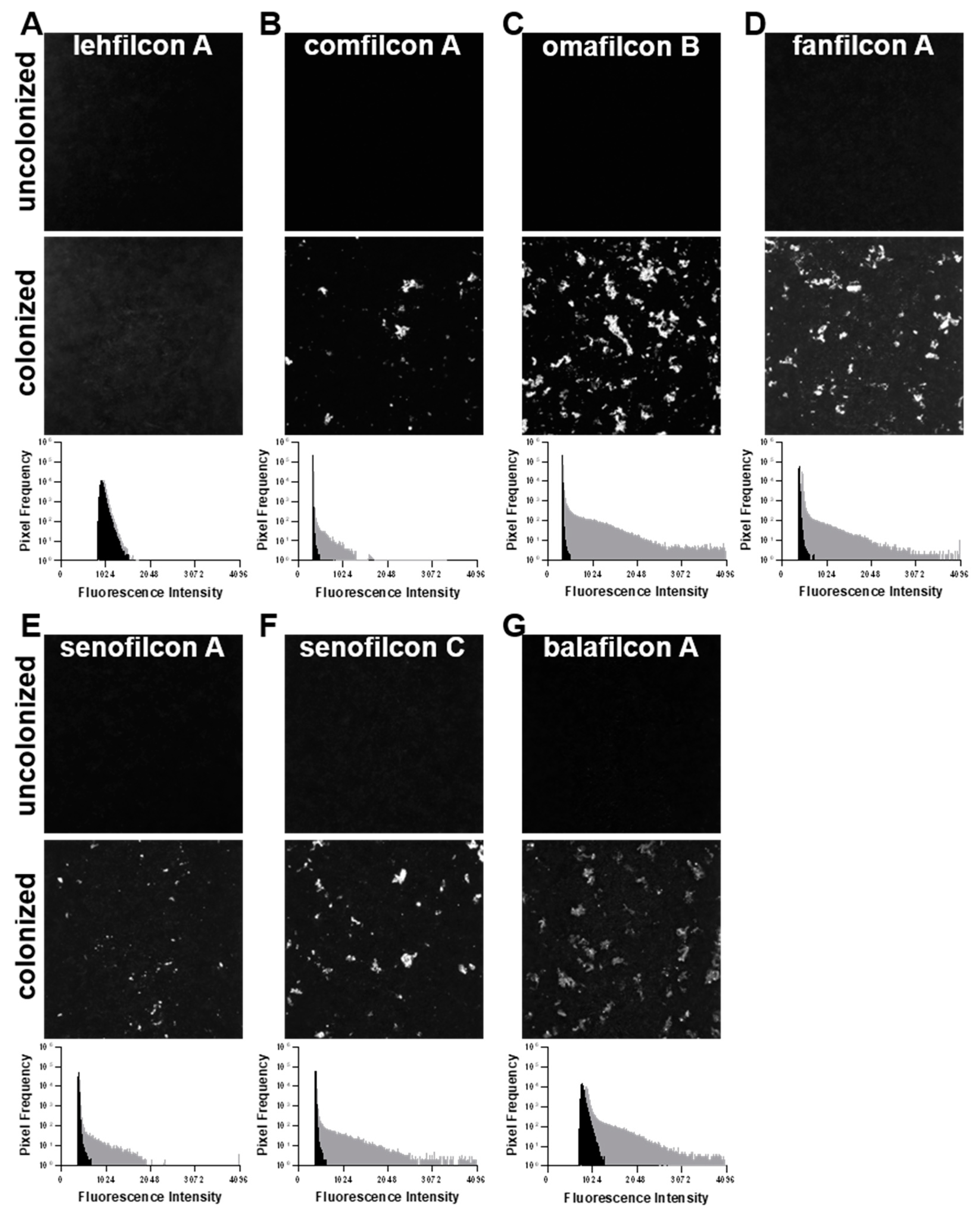 Microorganisms 11 00217 g004 Microorganisms 11 00217 g004