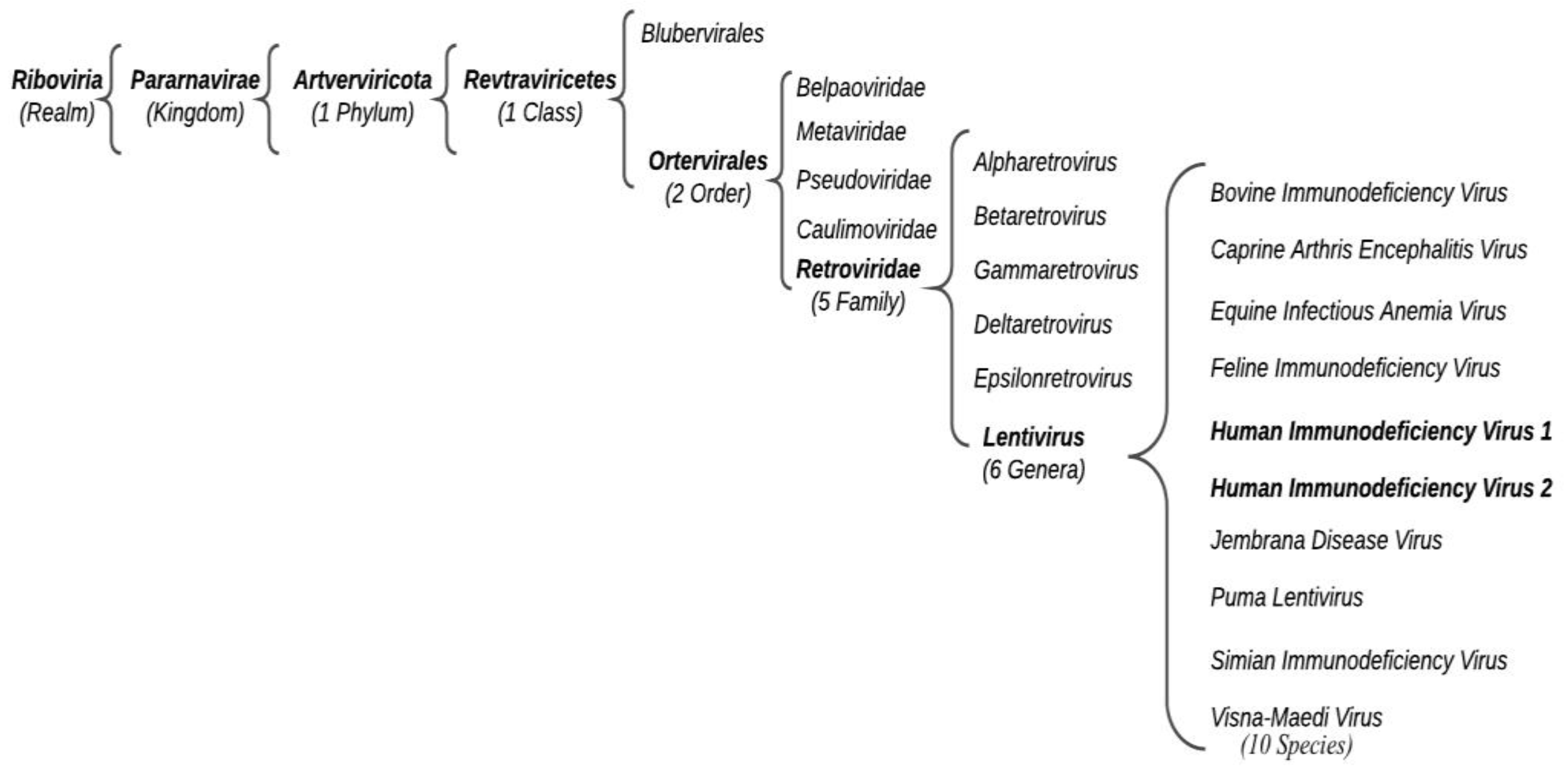 Microorganisms | Free Full-Text | HIV and Drug-Resistant Subtypes