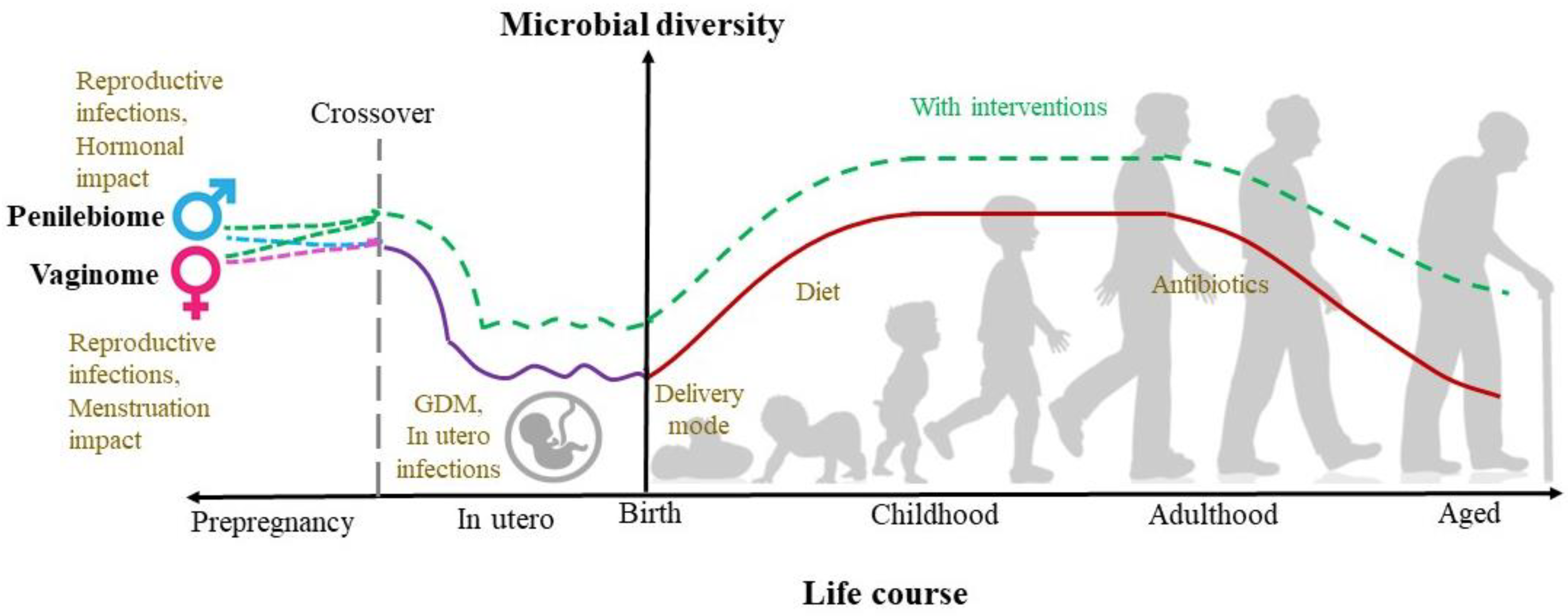 Microorganisms 11 00239 g002
