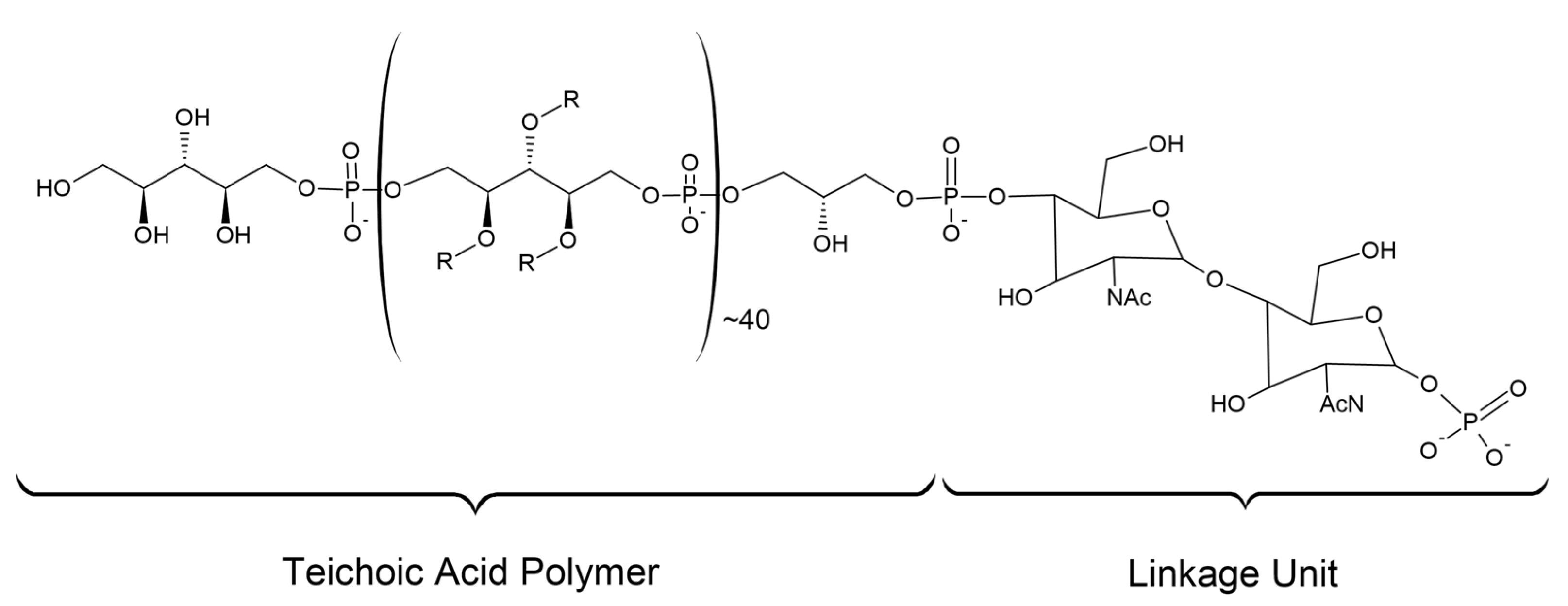 Microorganisms 11 00259 g009