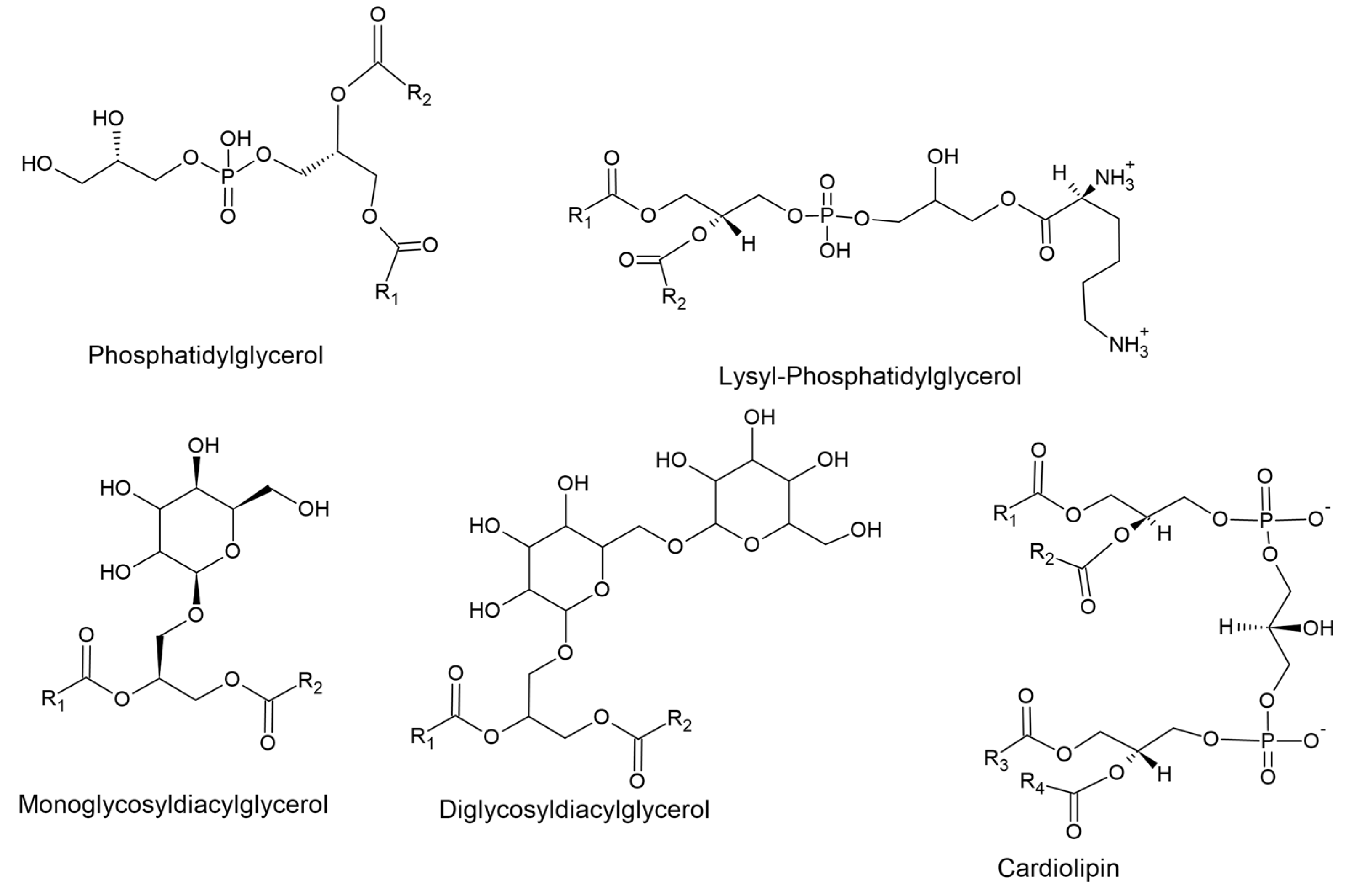 Microorganisms 11 00259 g010