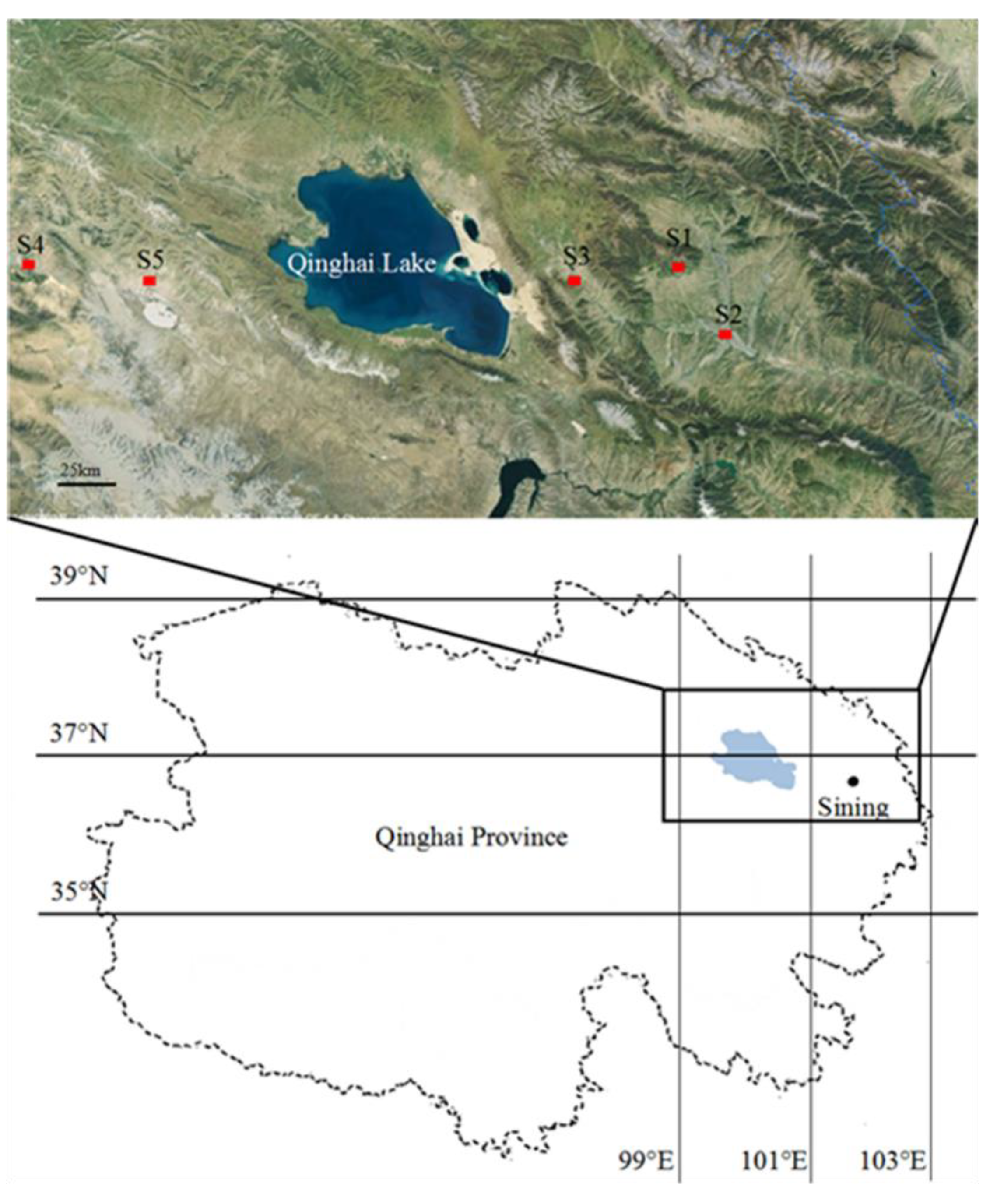 Microorganisms 11 00270 g001