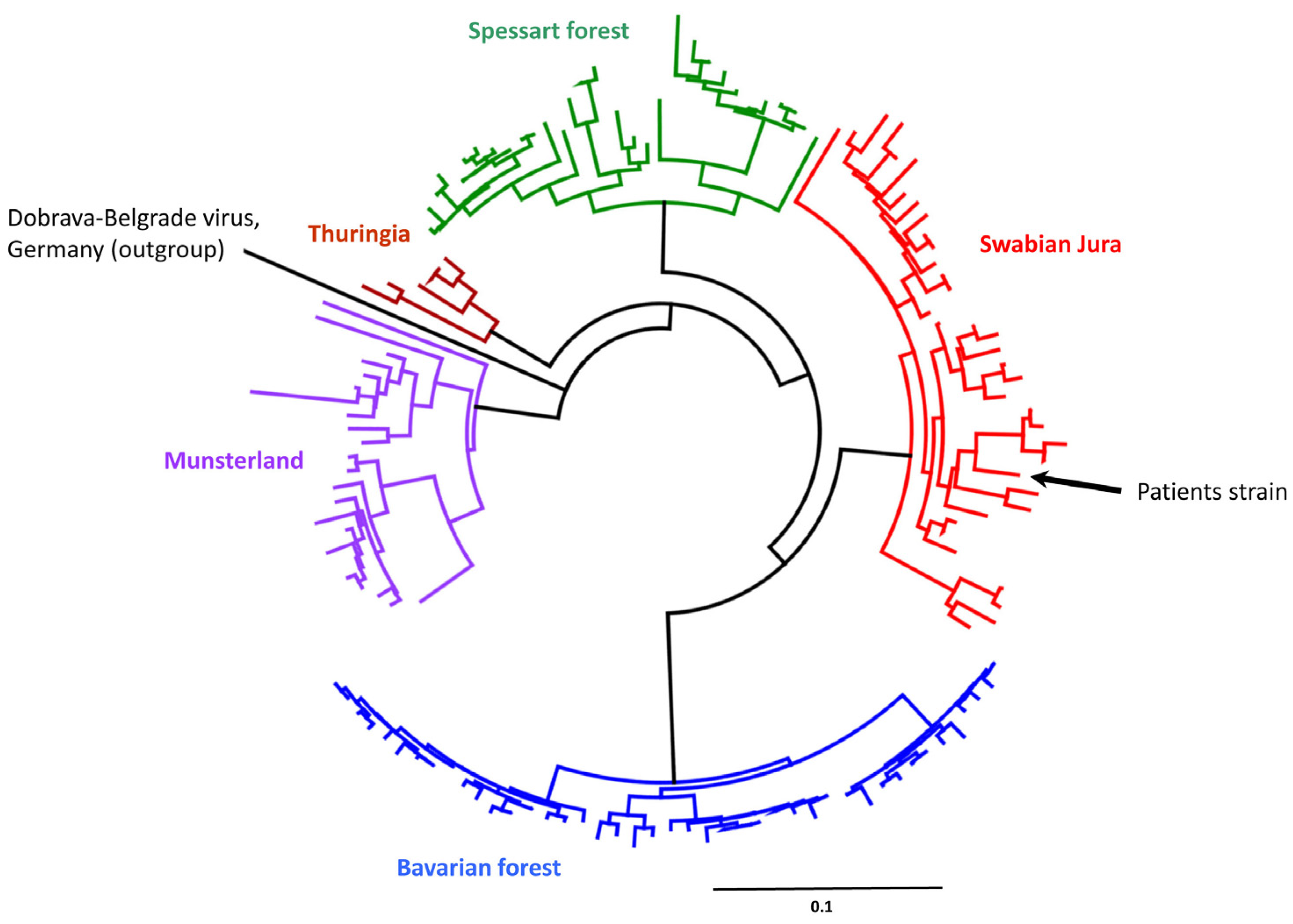 Microorganisms 11 00283 g002 Microorganisms 11 00283 g002
