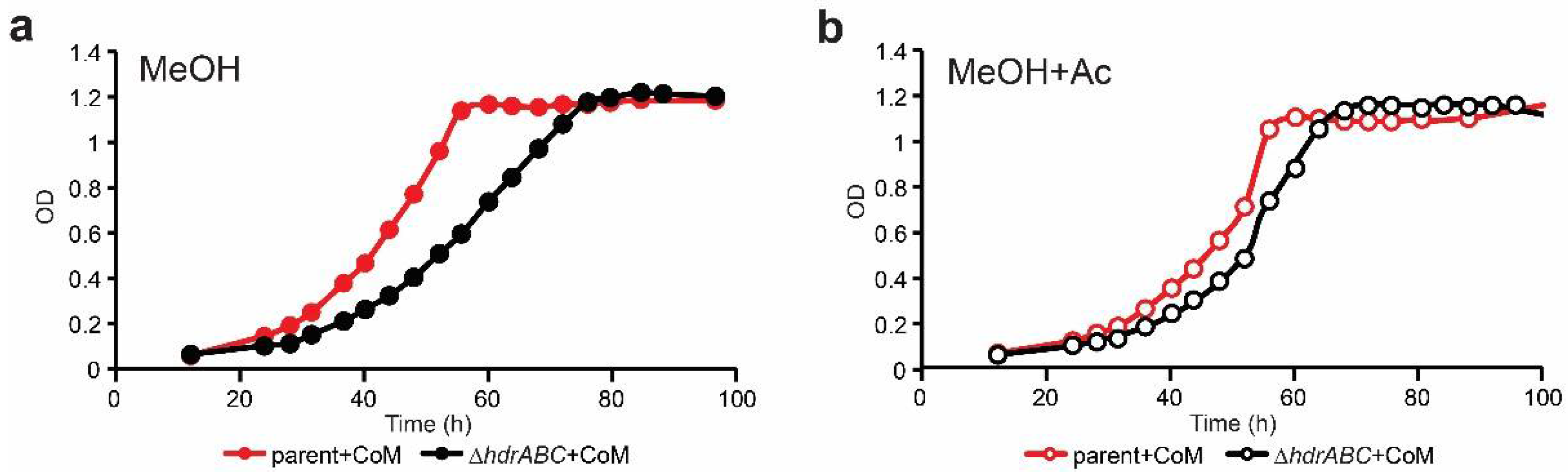 Microorganisms 11 00327 g004