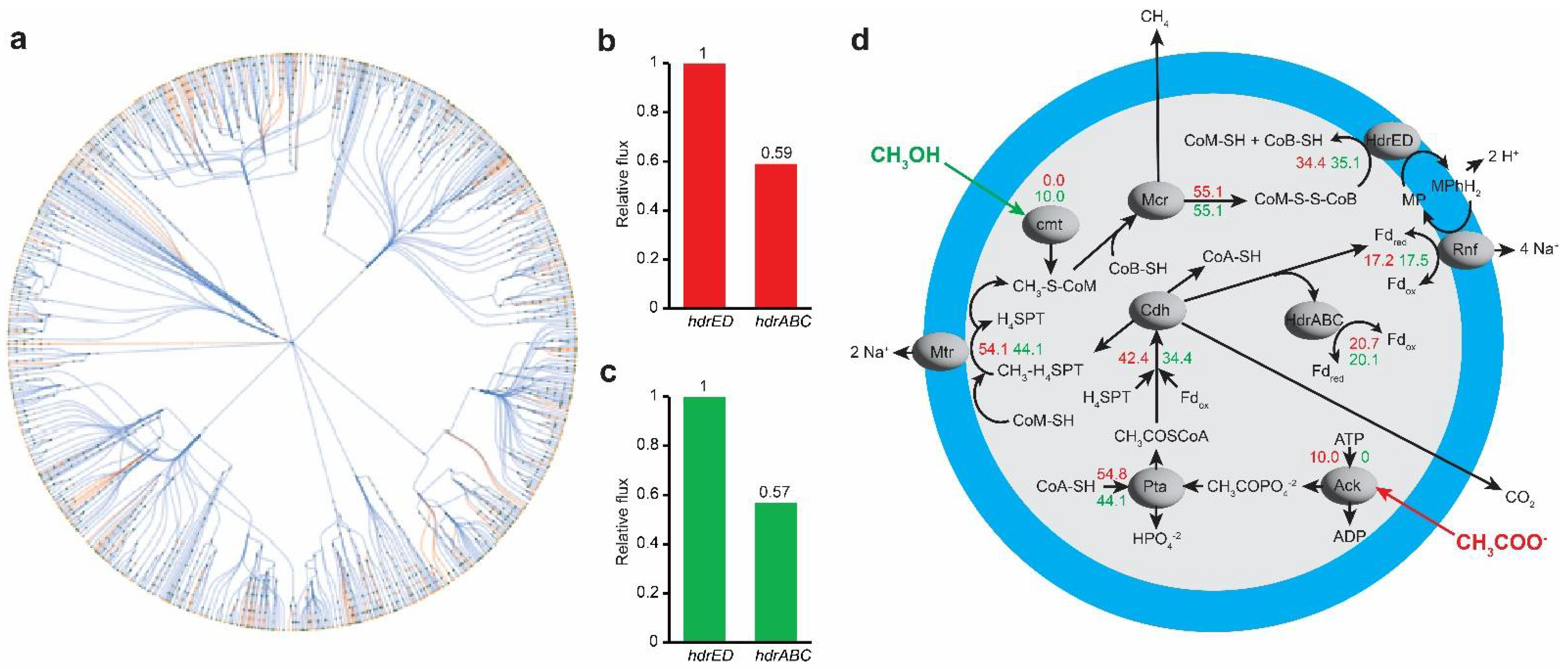 Microorganisms 11 00327 g005