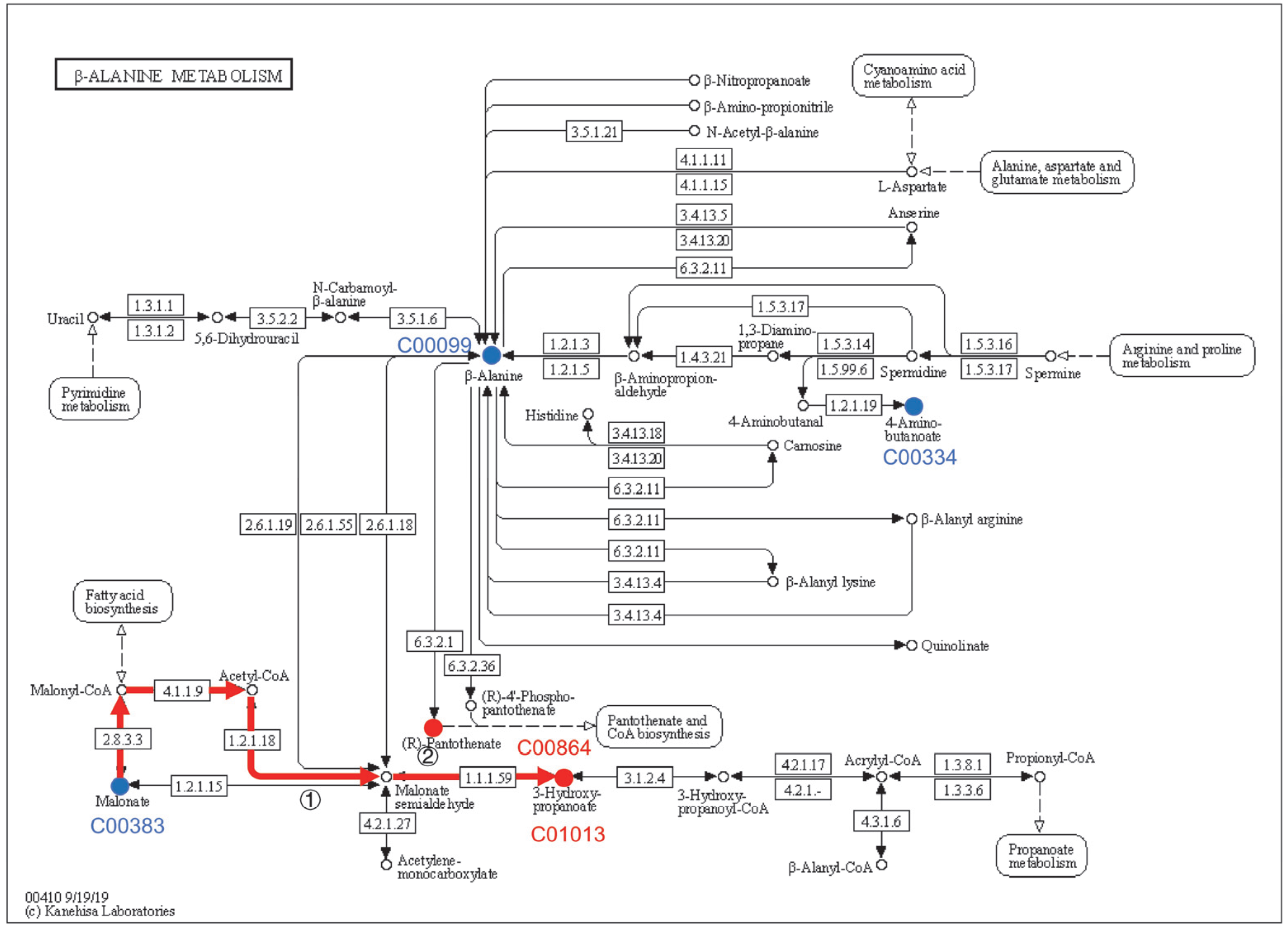 Microorganisms 11 00356 g004
