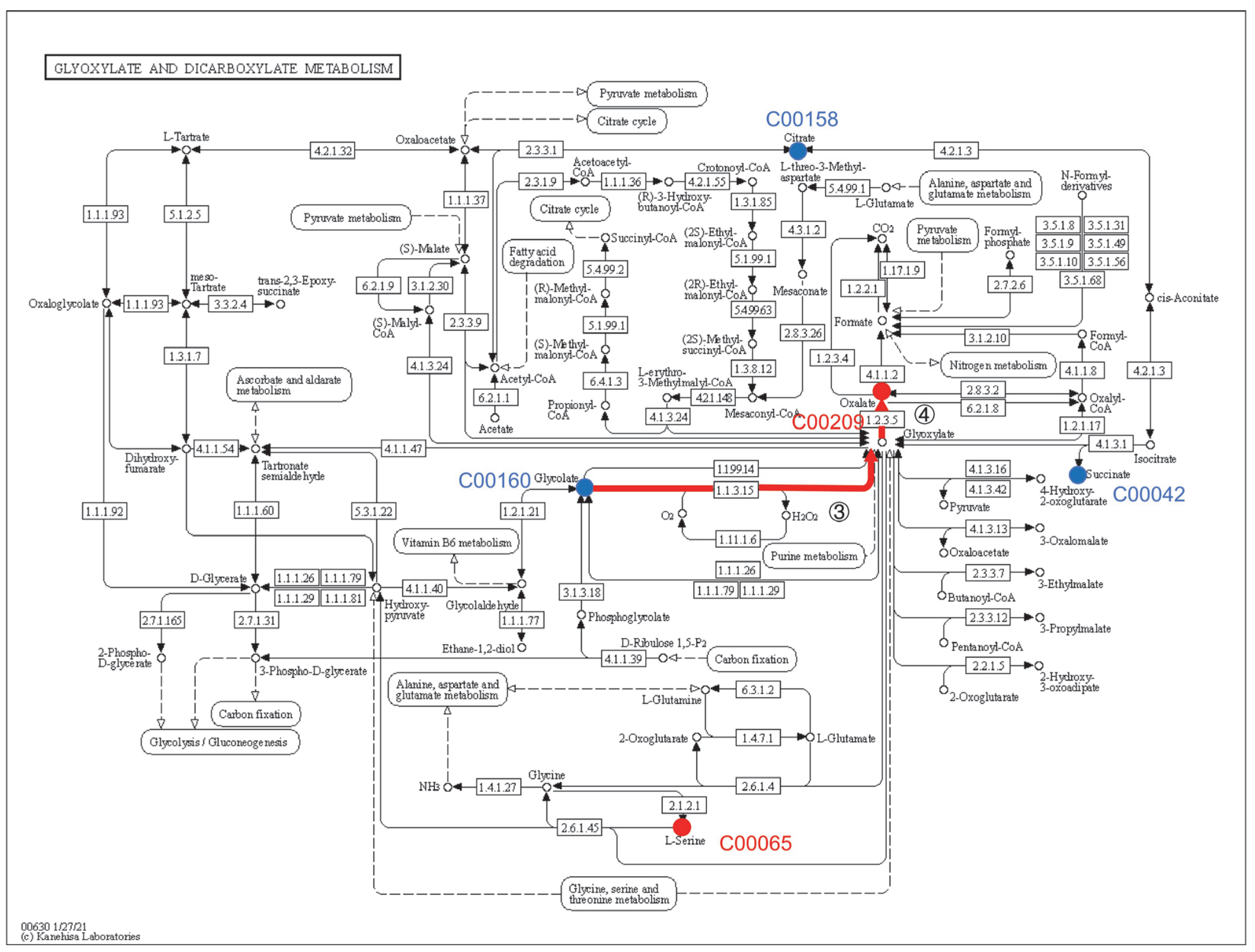 Microorganisms 11 00356 g005
