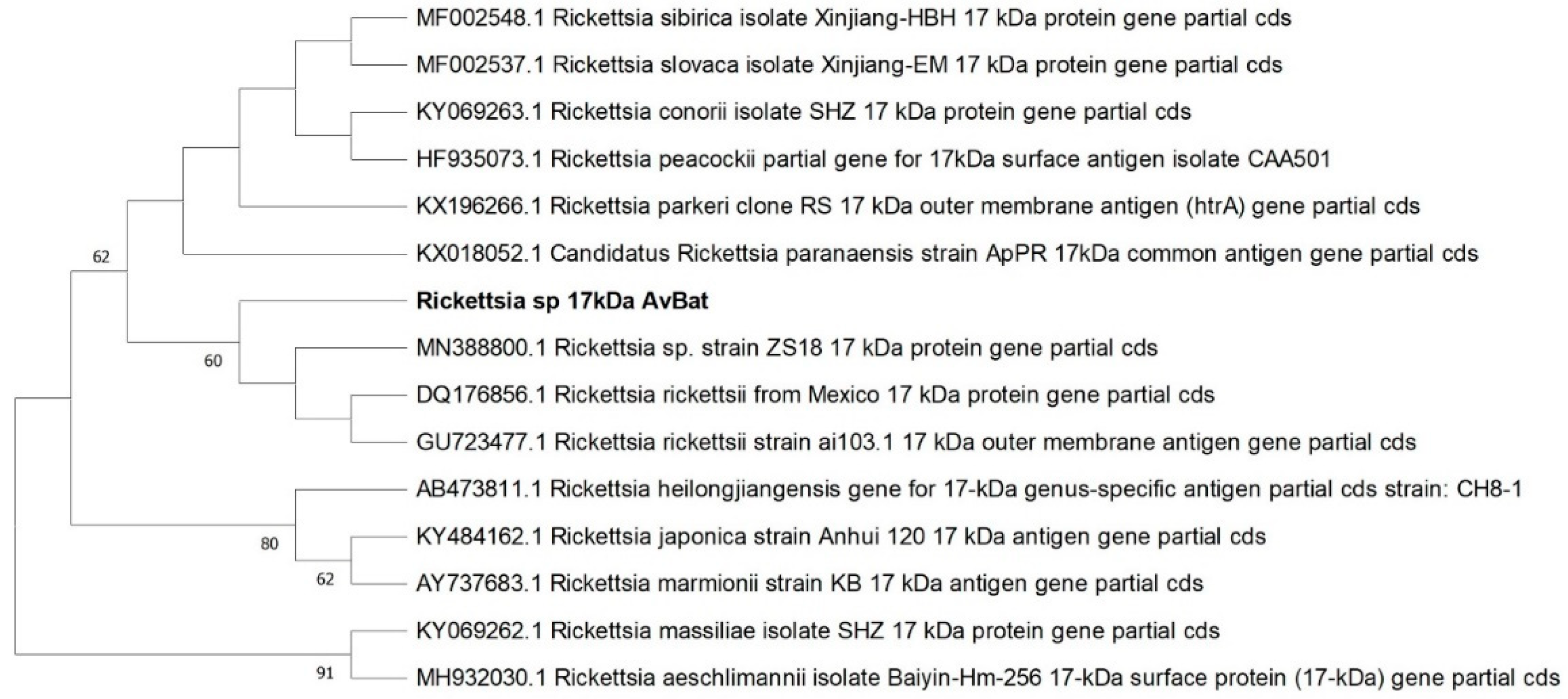 Microorganisms 11 00357 g002