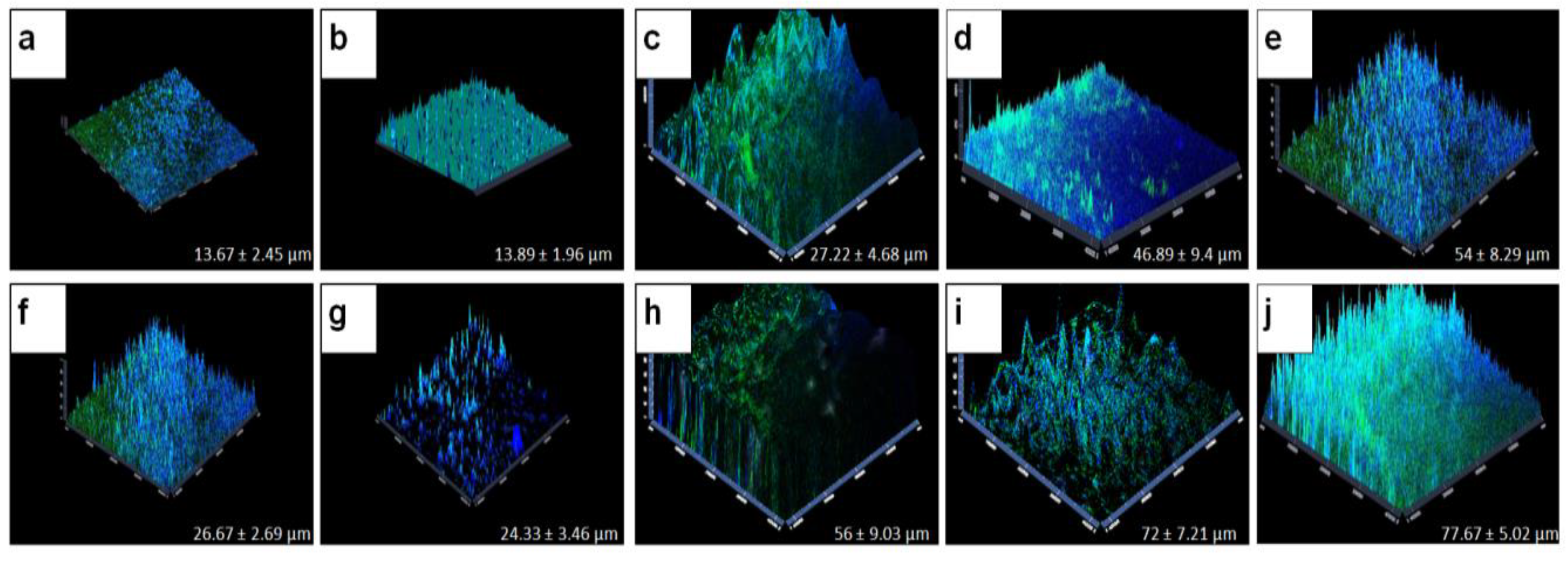 Microorganisms 11 00413 g003 Microorganisms 11 00413 g003