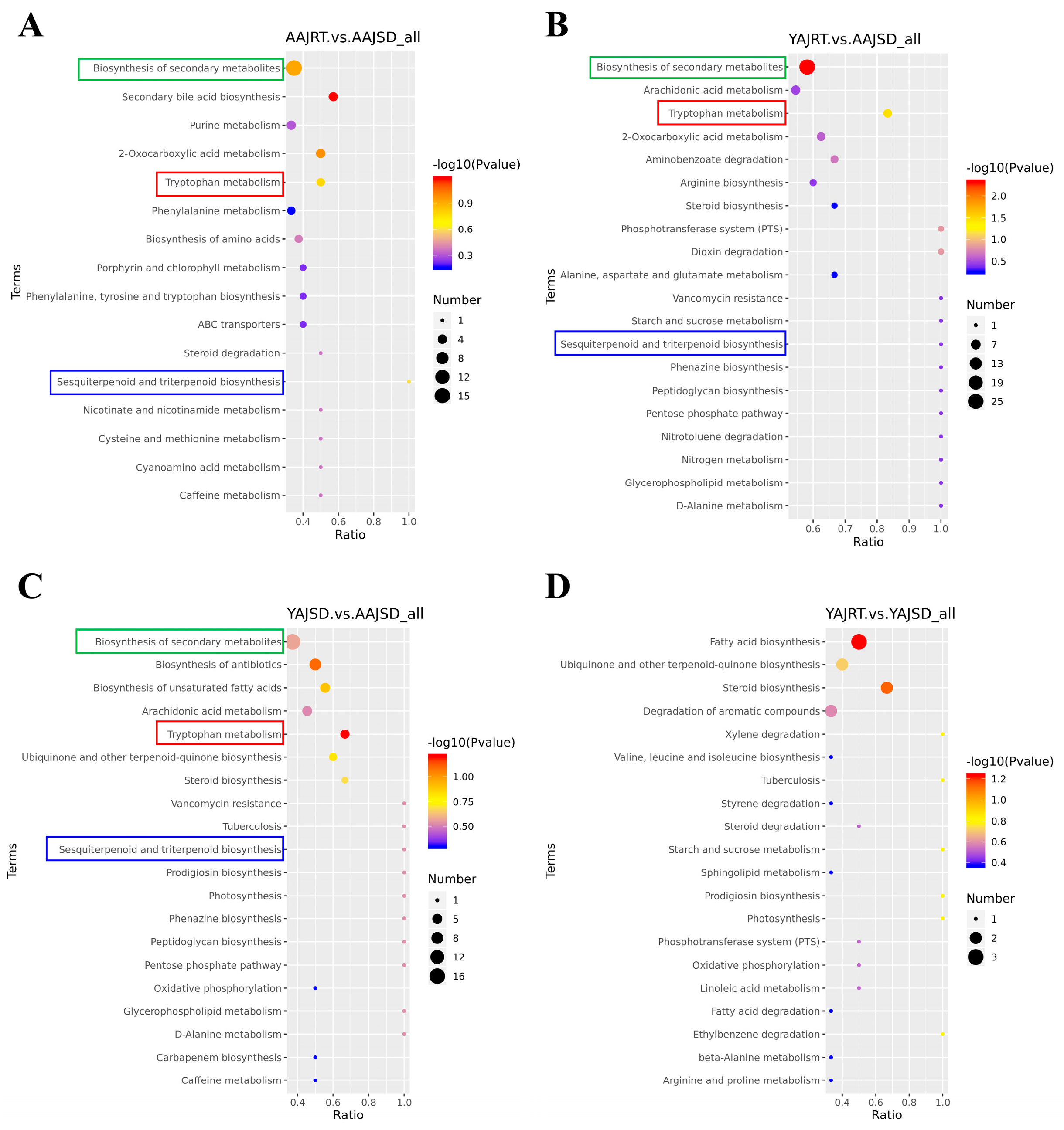 Microorganisms 11 00416 g005