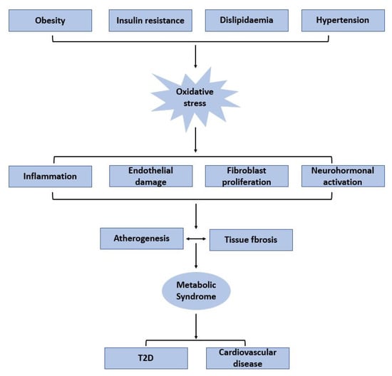 Sex Related Effects of Gut Microbiota in Metabolic Syndrome  