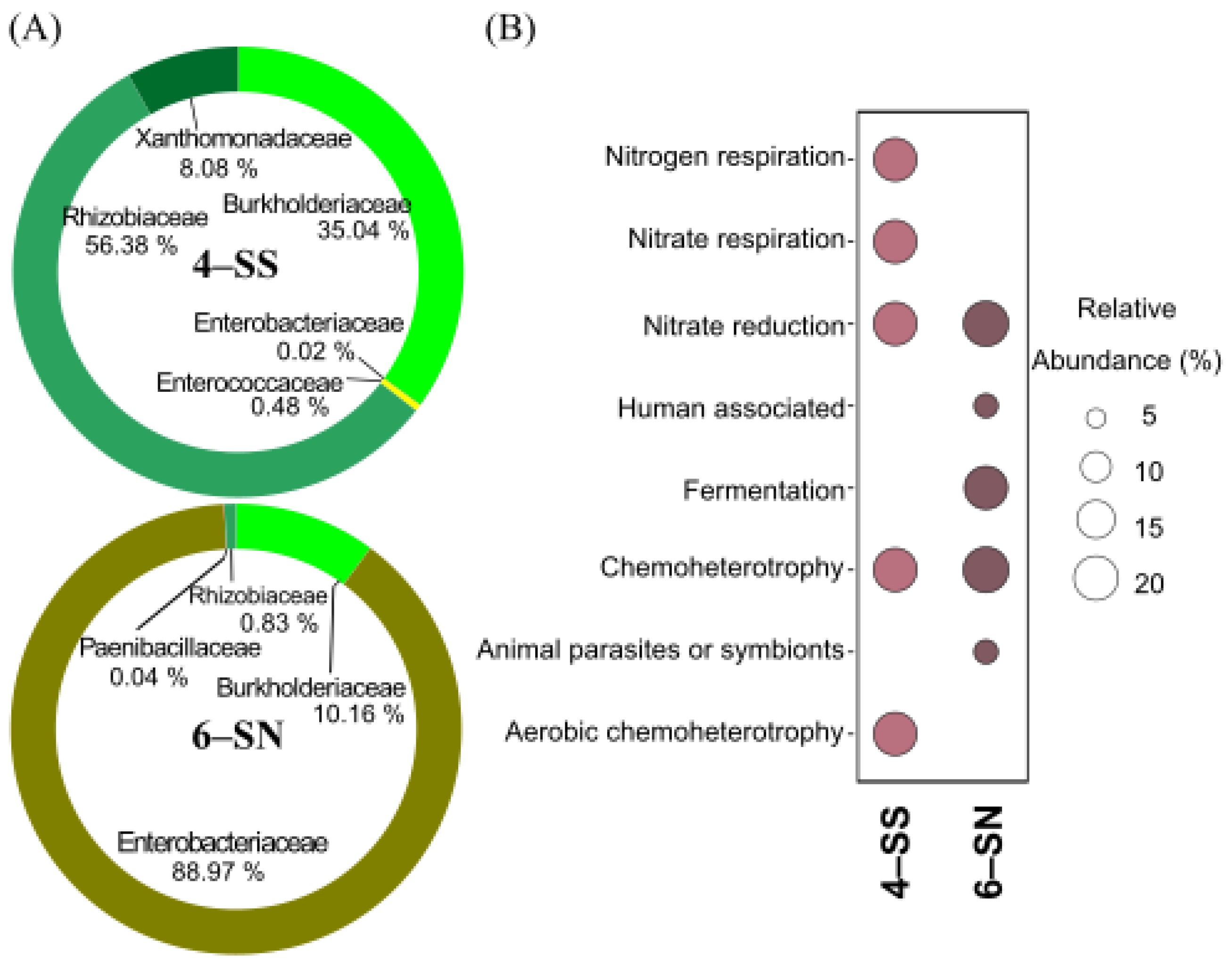 Microorganisms 11 00448 g006