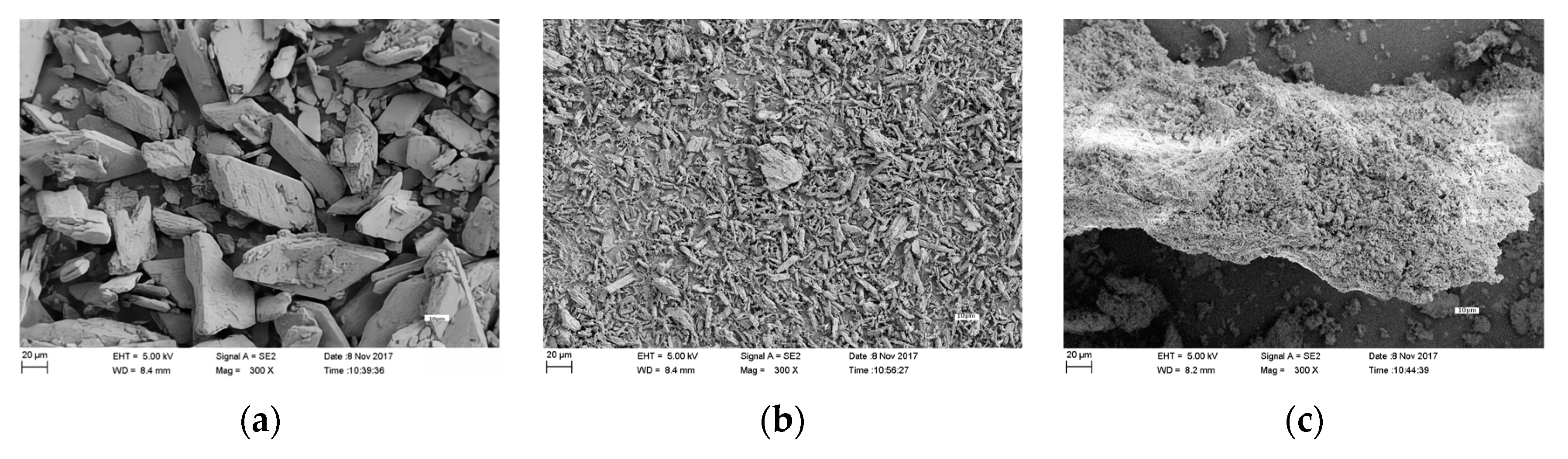 Microorganisms 11 00454 g006