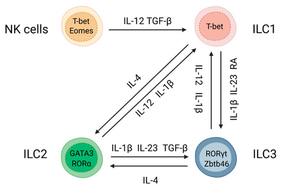 Microorganisms | Free Full-Text | Innate Lymphoid Cell Plasticity