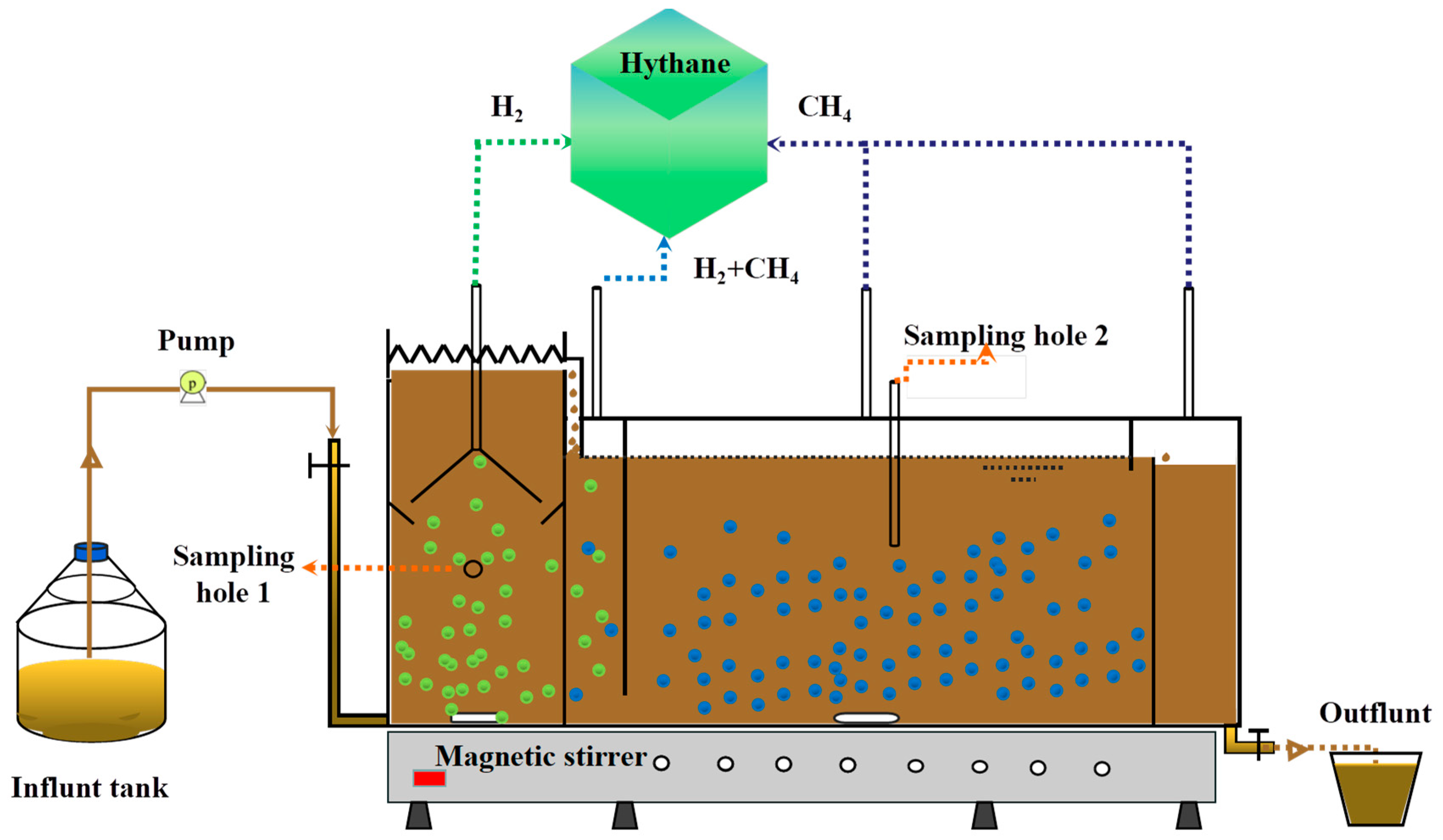 https://www.mdpi.com/microorganisms/microorganisms-11-00474/article_deploy/html/images/microorganisms-11-00474-g001.png