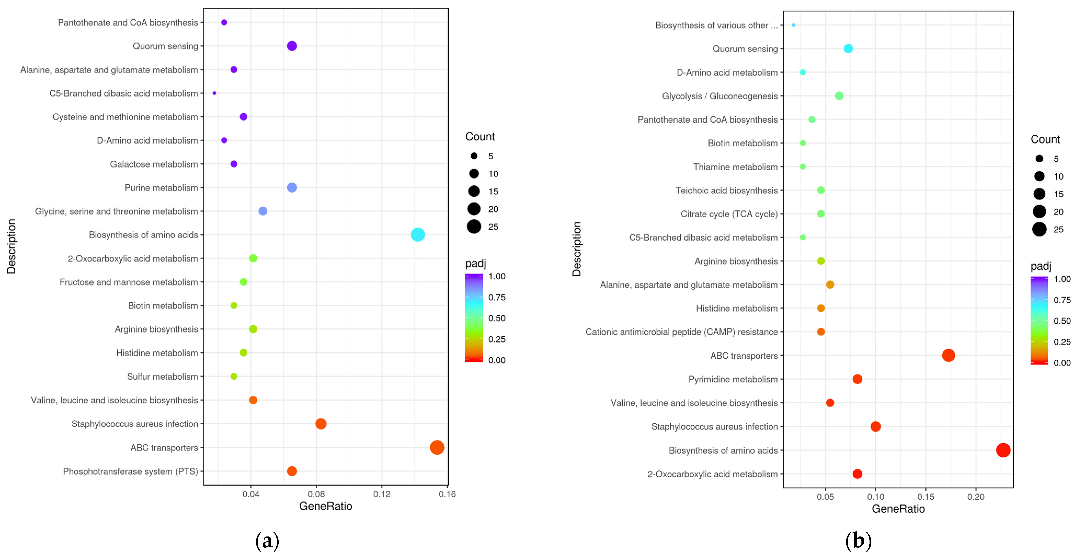 Microorganisms 11 00475 g006