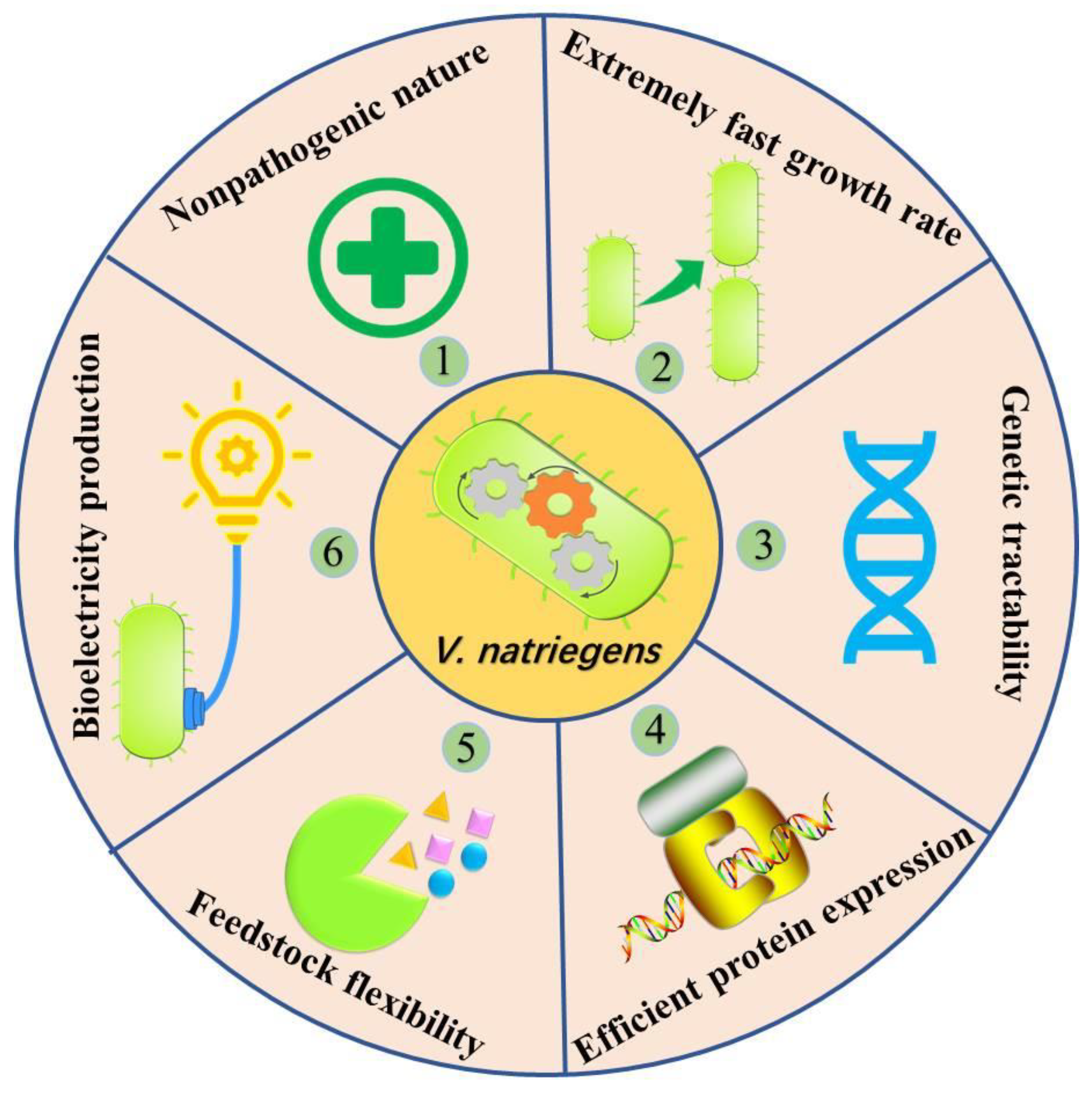 Microorganisms 11 00490 g001