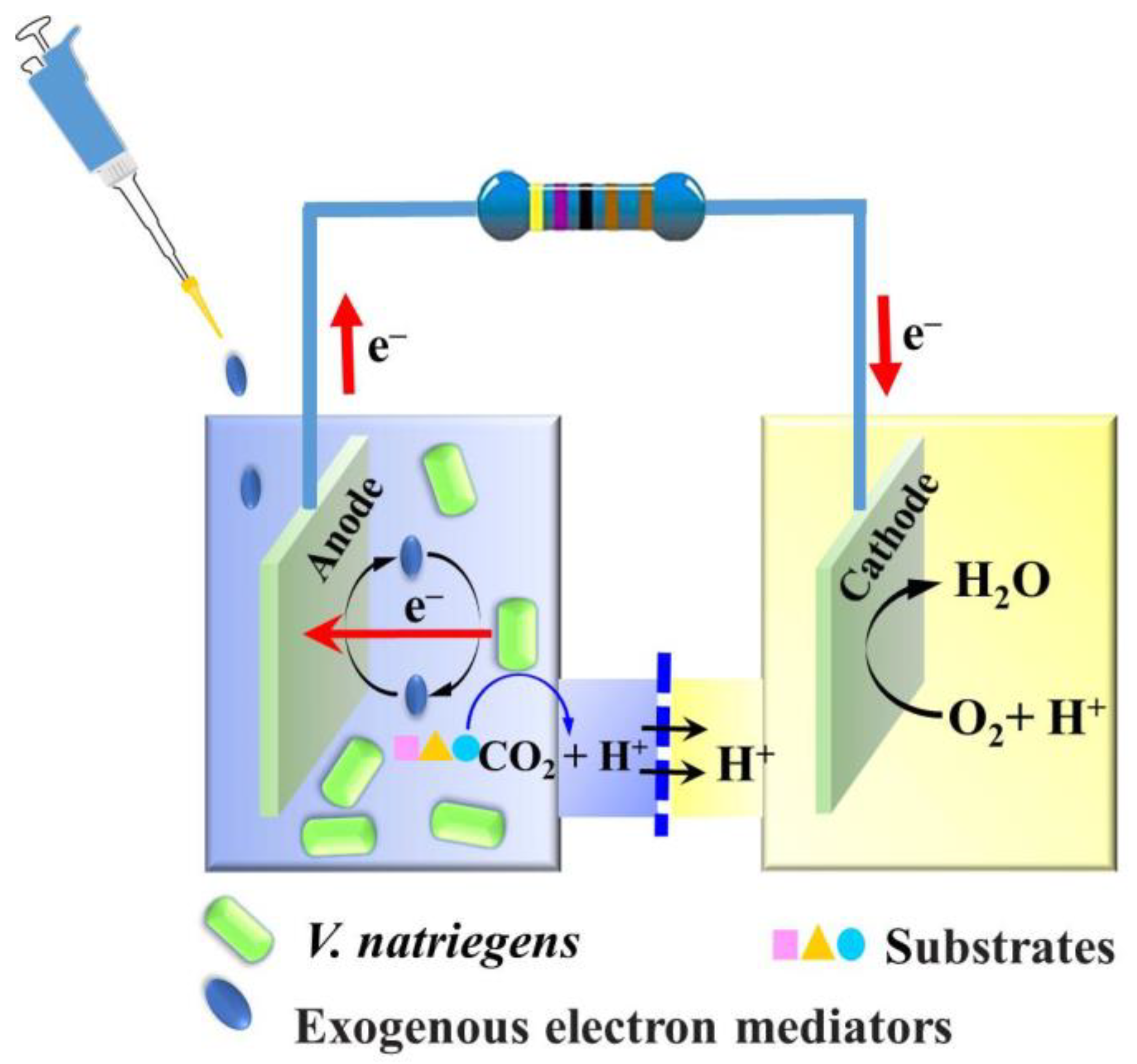 Microorganisms 11 00490 g002