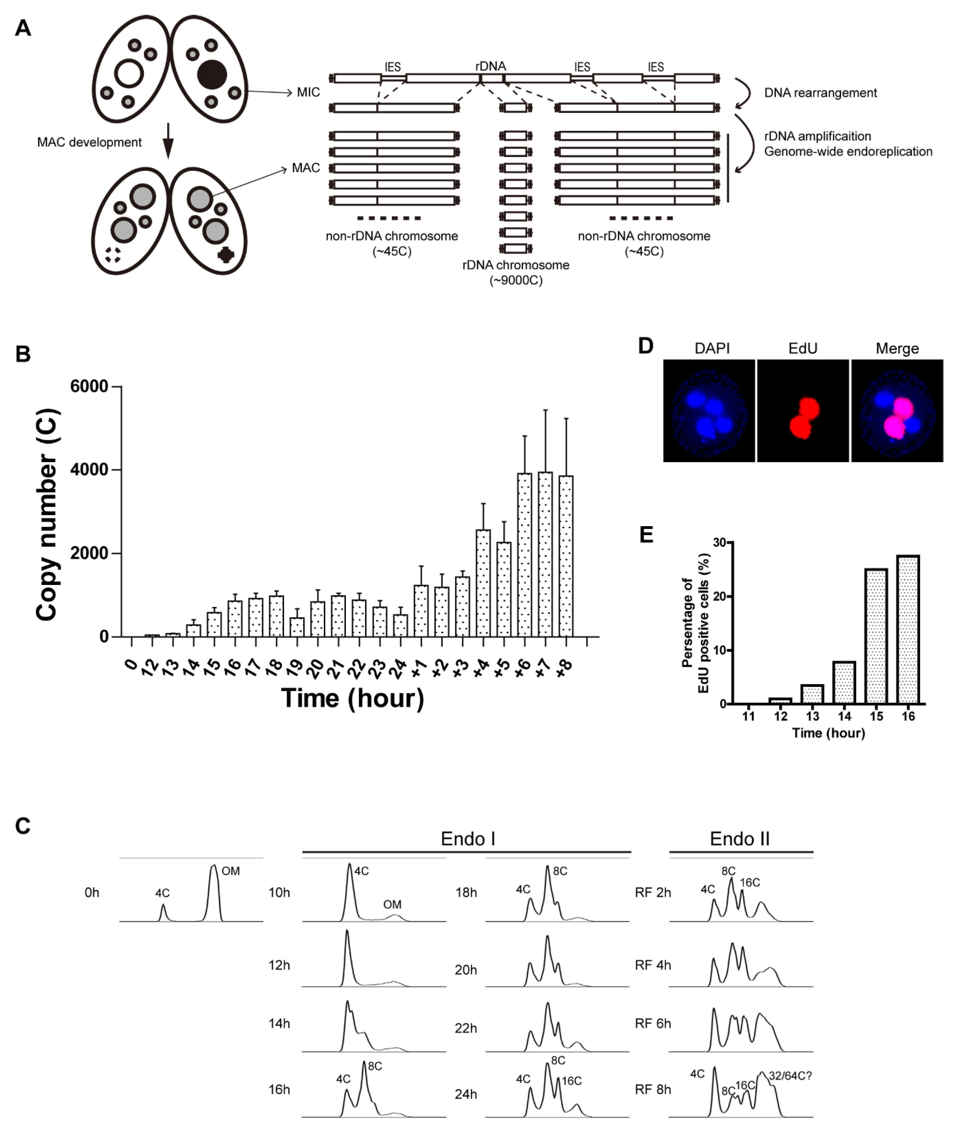 Microorganisms 11 00491 g001 Microorganisms 11 00491 g001