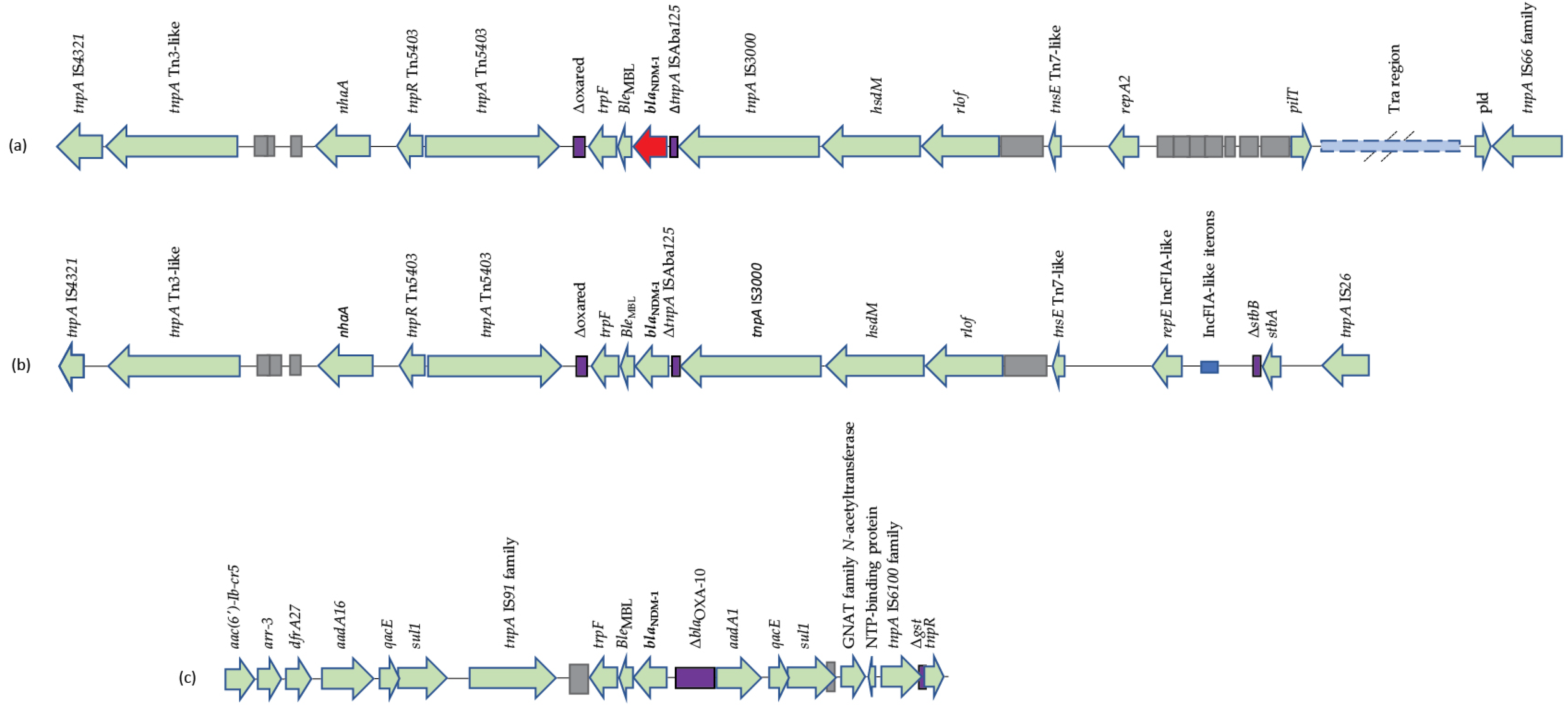 Microorganisms 11 00516 g002 Microorganisms 11 00516 g002