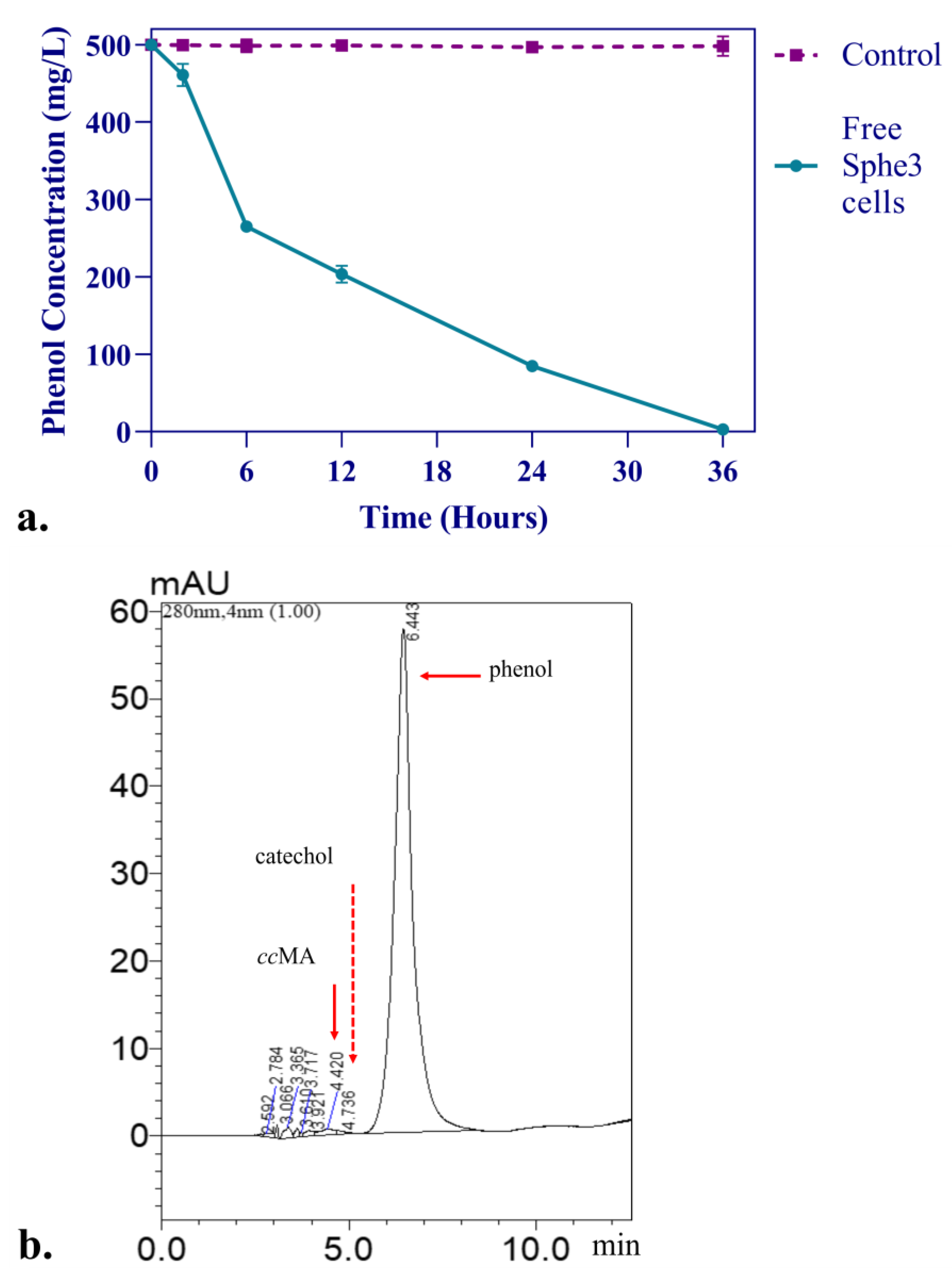 Microorganisms 11 00524 g004a Microorganisms 11 00524 g004a