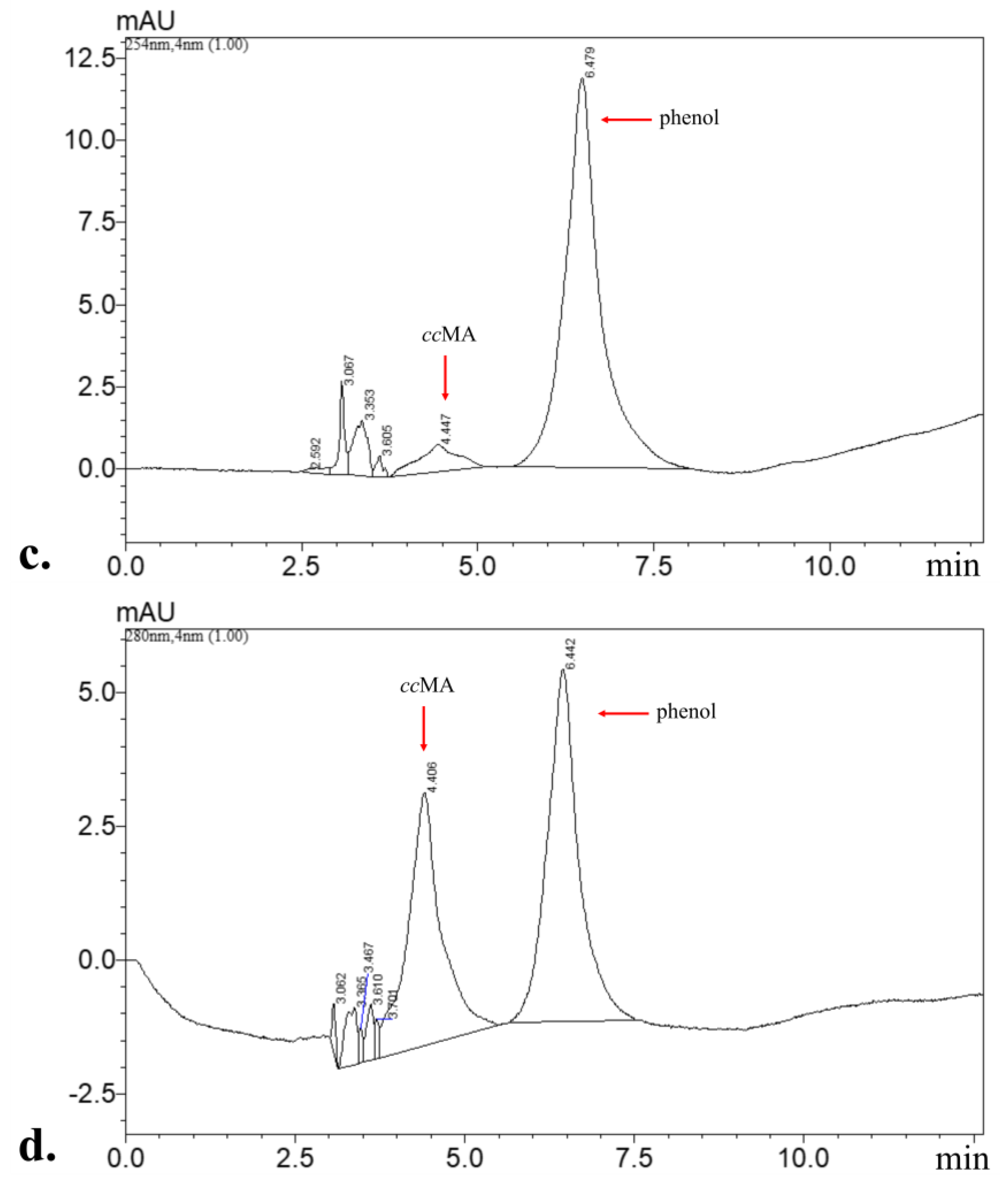 Microorganisms 11 00524 g004b Microorganisms 11 00524 g004b