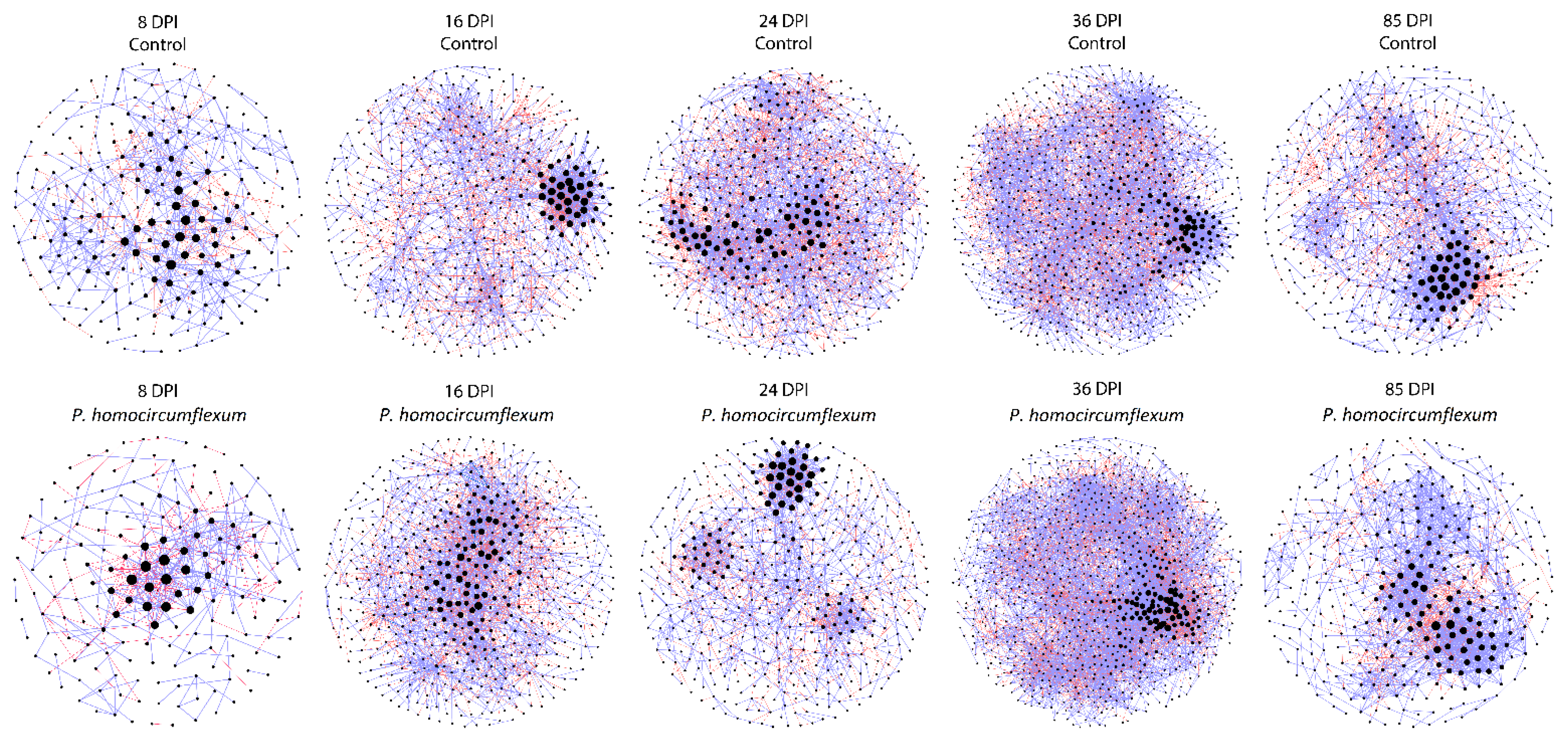 Microorganisms 11 00563 g004