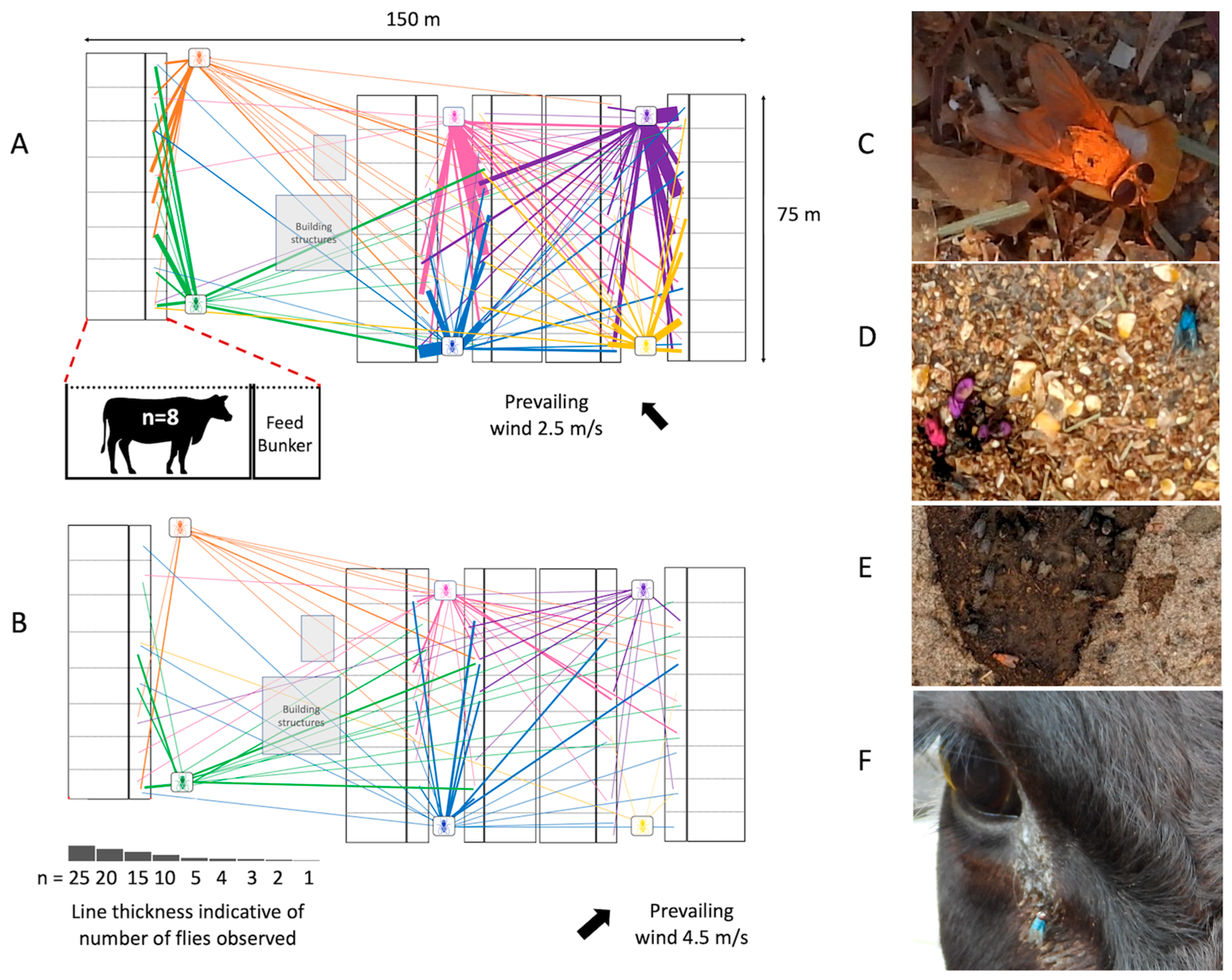 Microorganisms 11 00583 g002