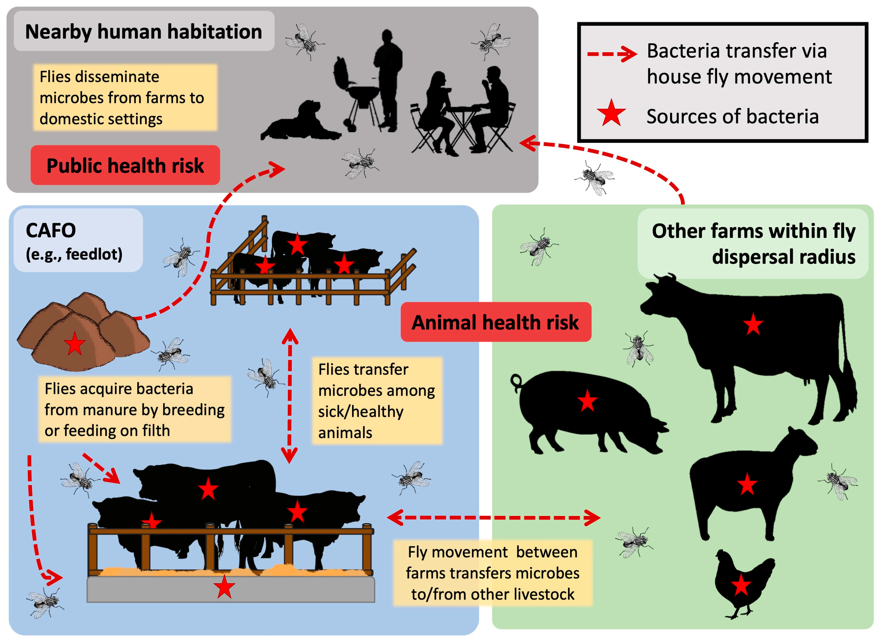 Microorganisms 11 00583 g003