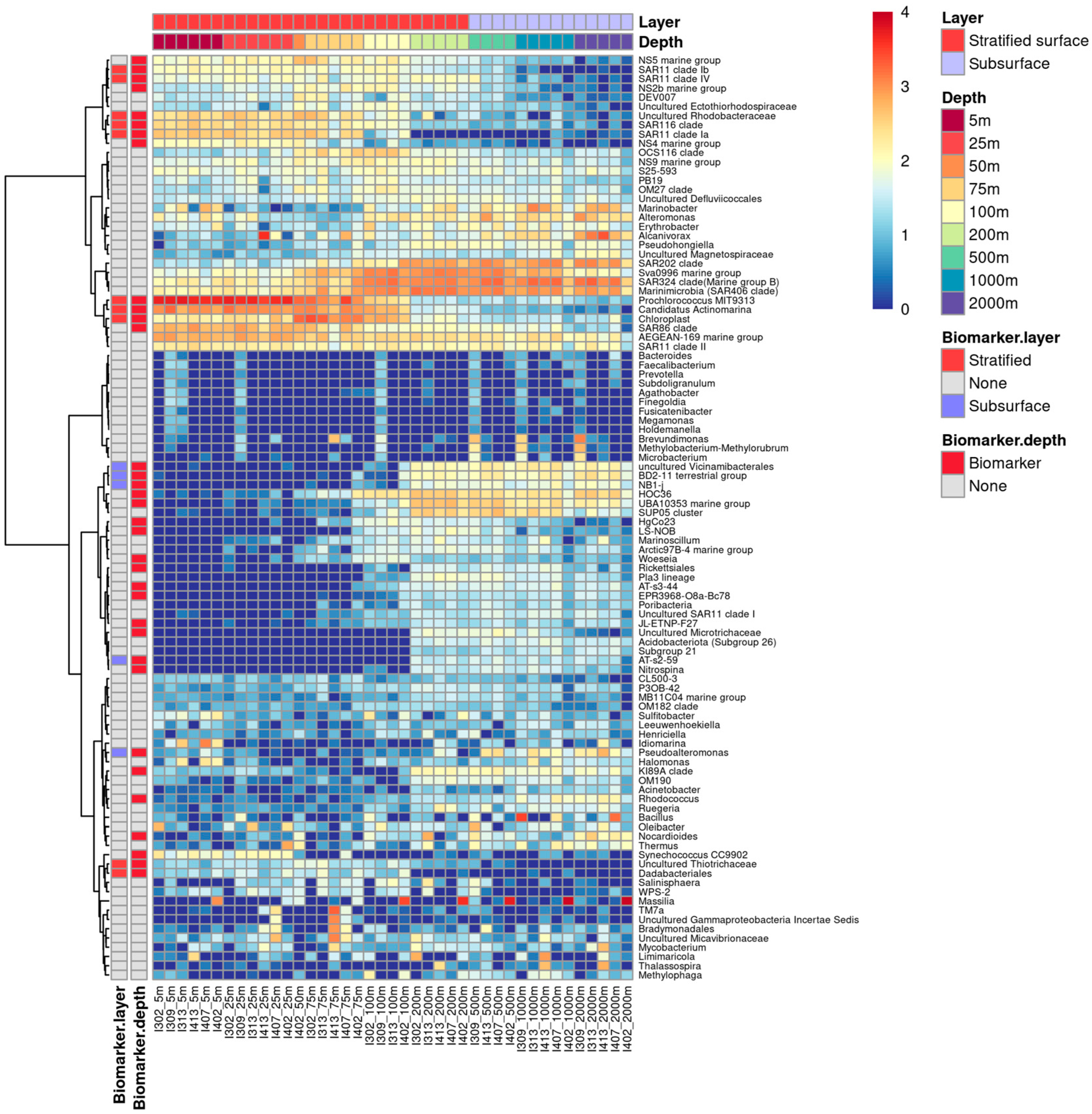 Microorganisms 11 00592 g009 Microorganisms 11 00592 g009