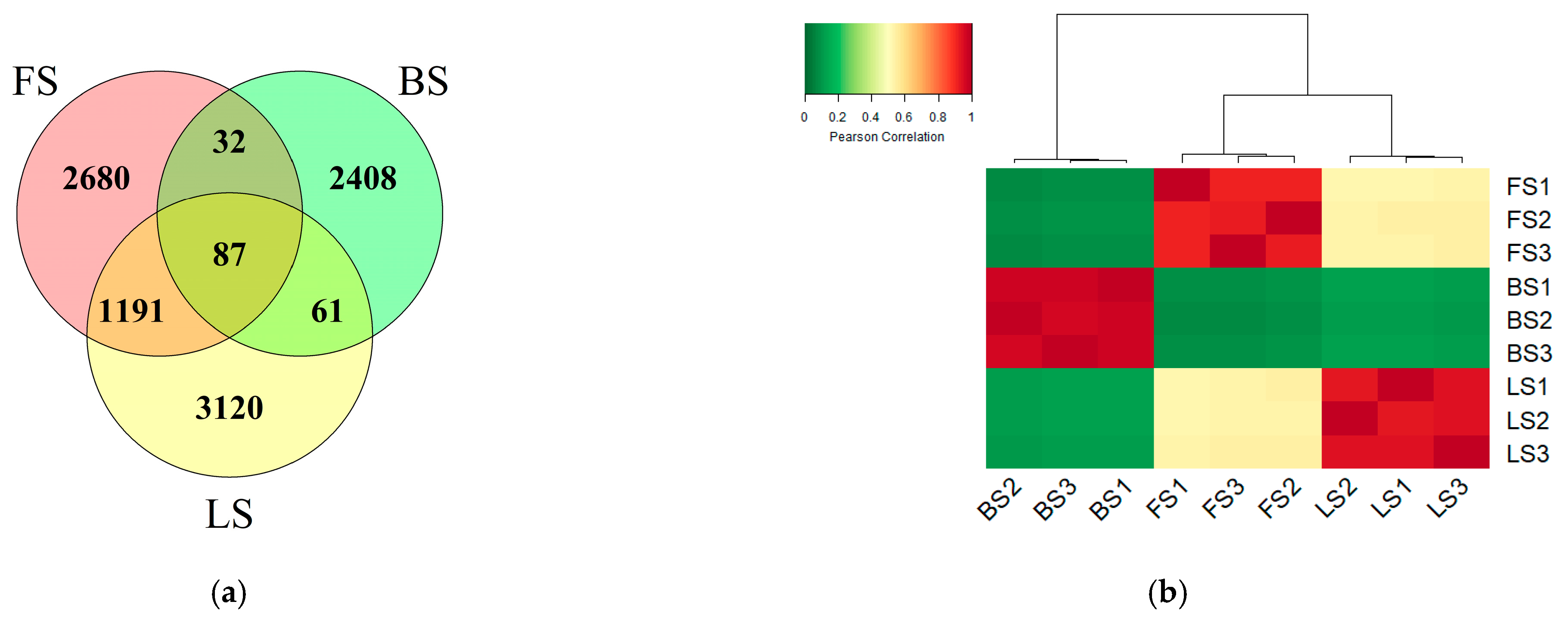 Microorganisms 11 00593 g002 Microorganisms 11 00593 g002