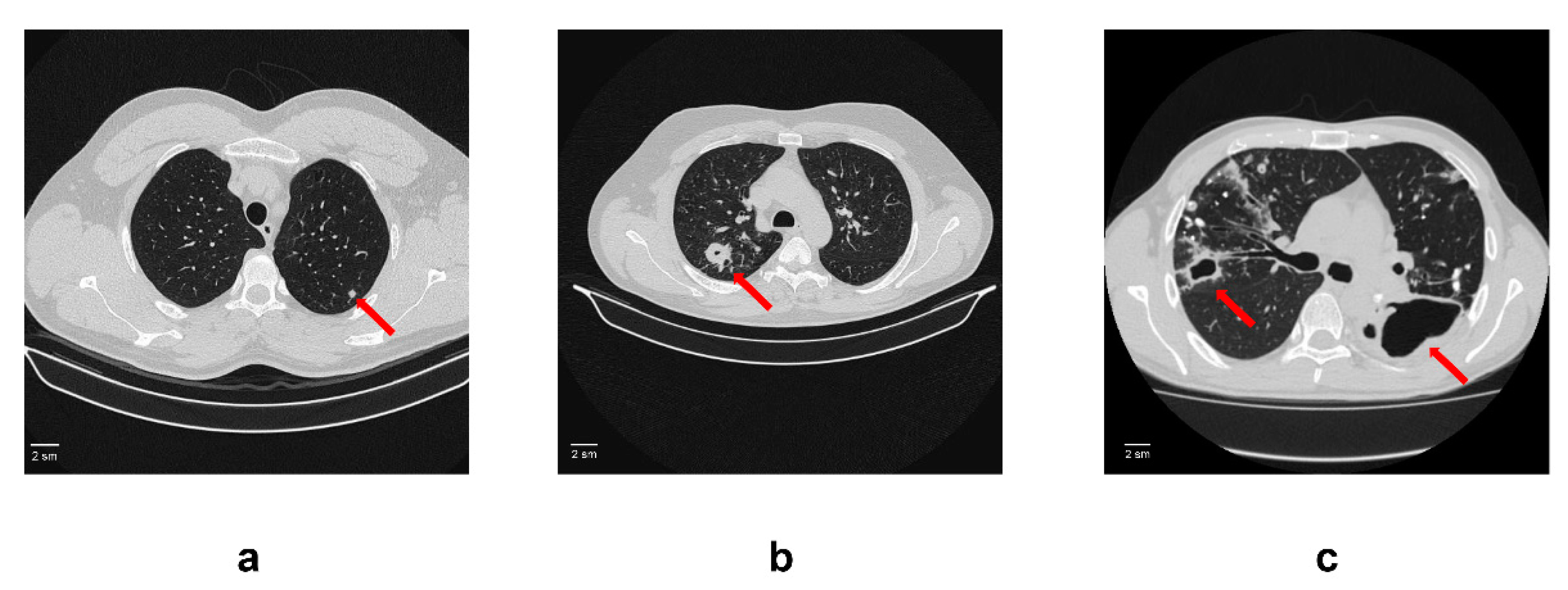 Microorganisms 11 00626 g001 Microorganisms 11 00626 g001