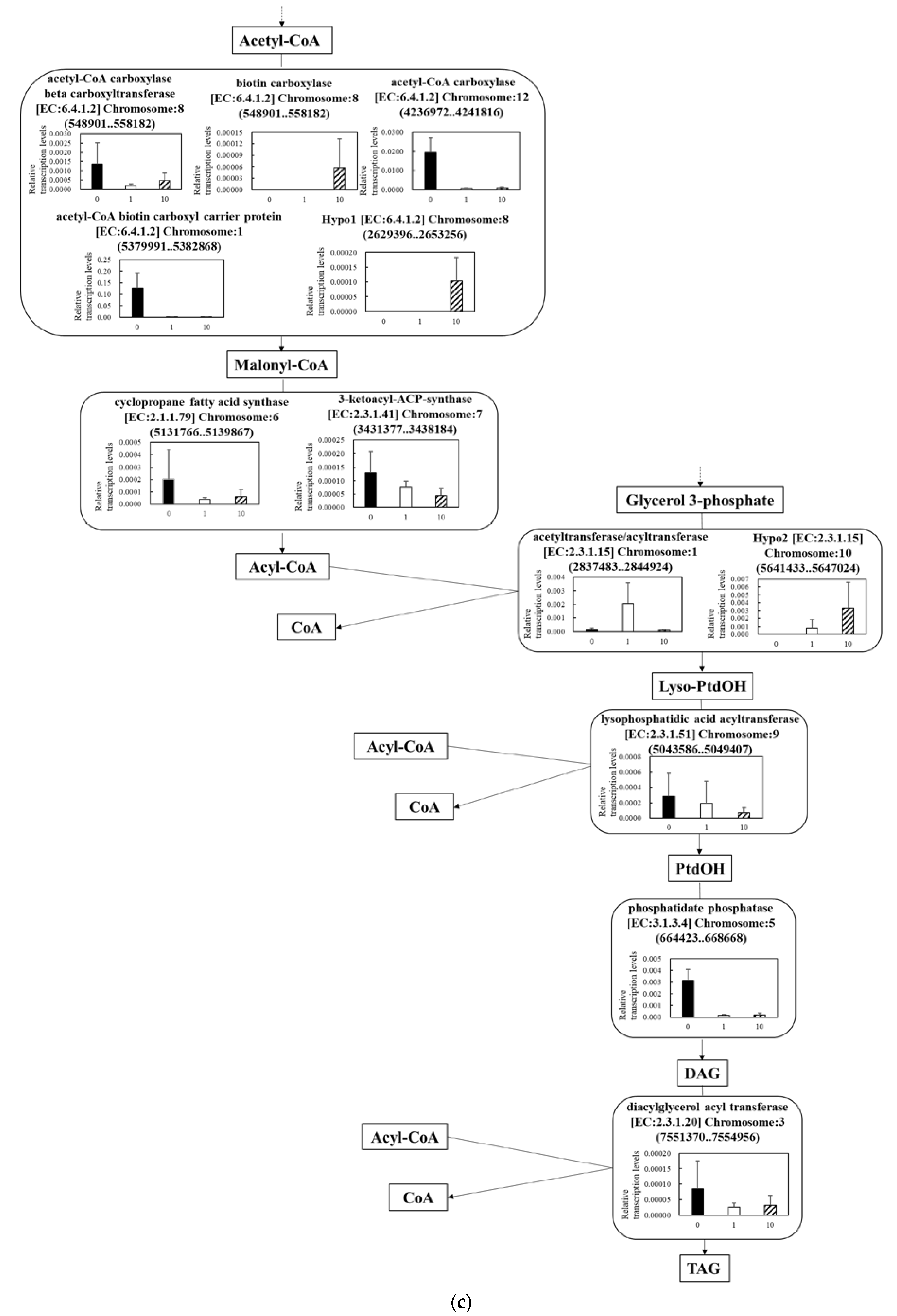 Microorganisms 11 00633 g005c