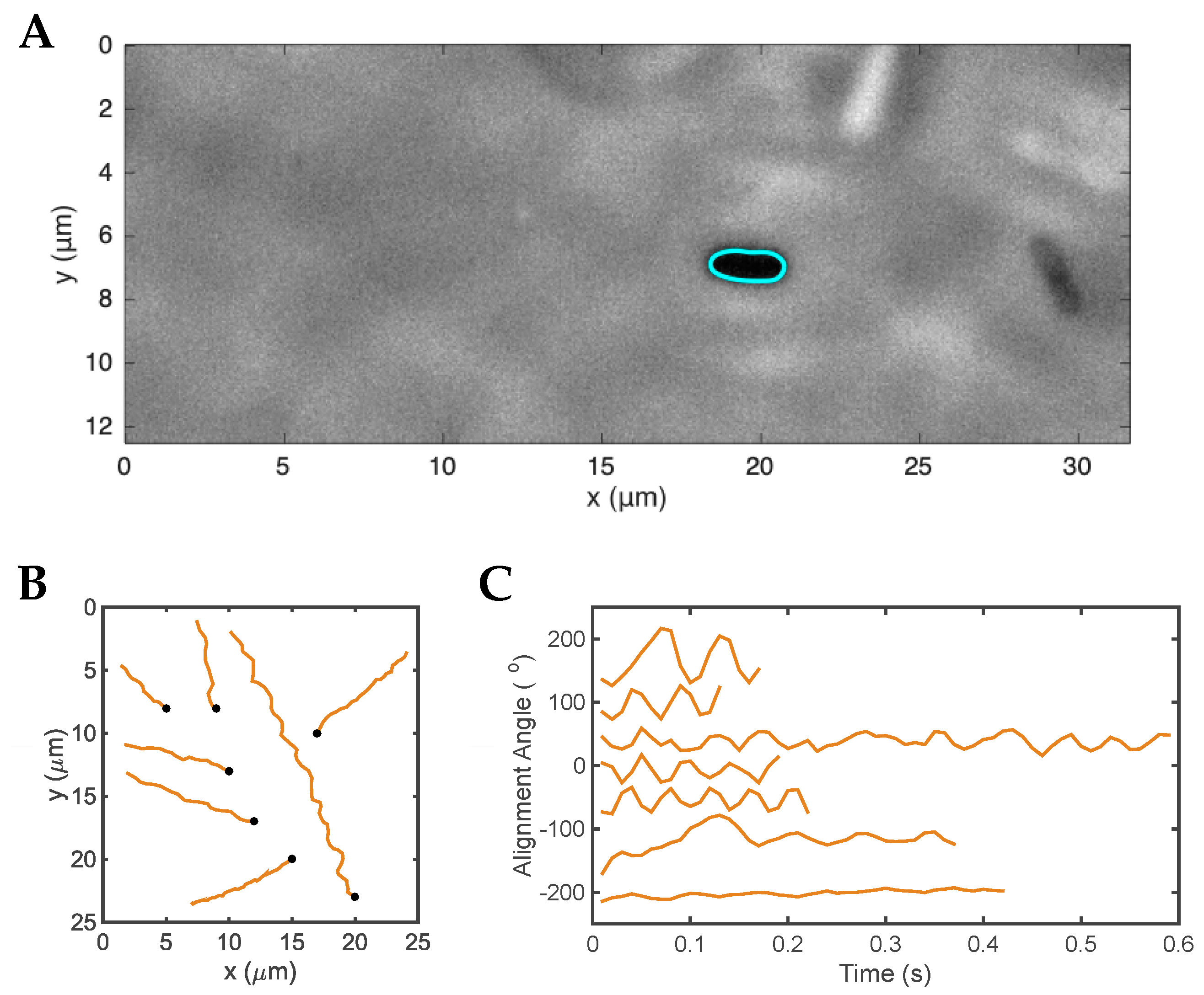 Microorganisms 11 00634 g004