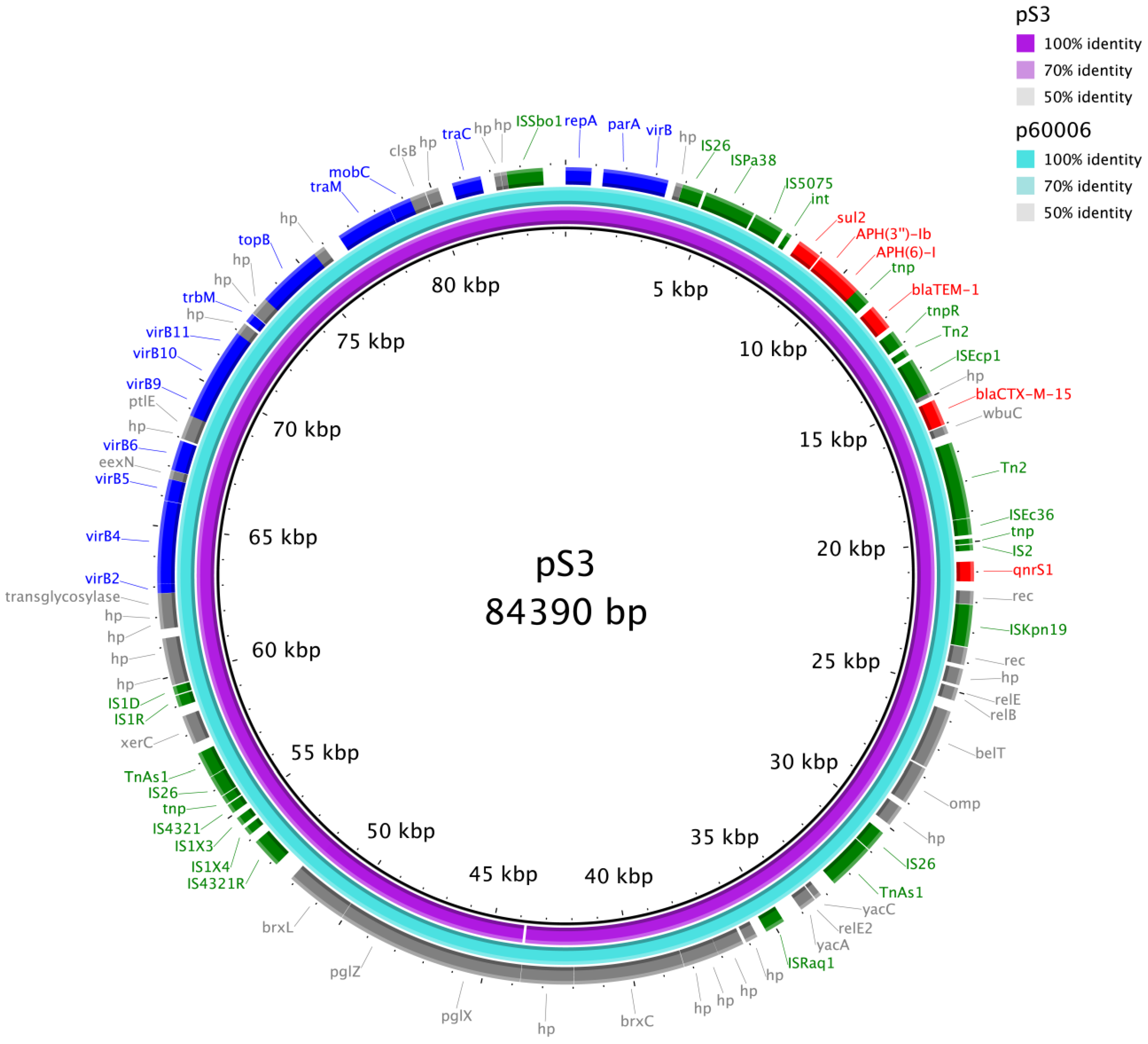 Microorganisms | Free Full-Text | Genomic Investigation of Salmonella Typhi  in Hong Kong Revealing the Predominance of Genotype 3.2.2 and the First  Case of an Extensively Drug-Resistant H58 Genotype