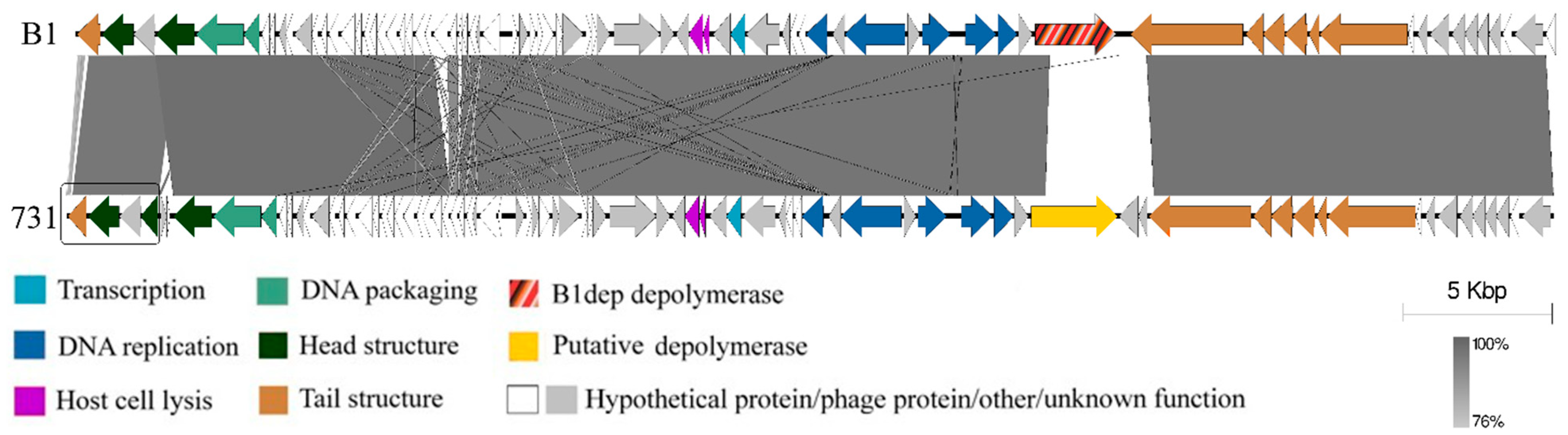 Microorganisms 11 00669 g004