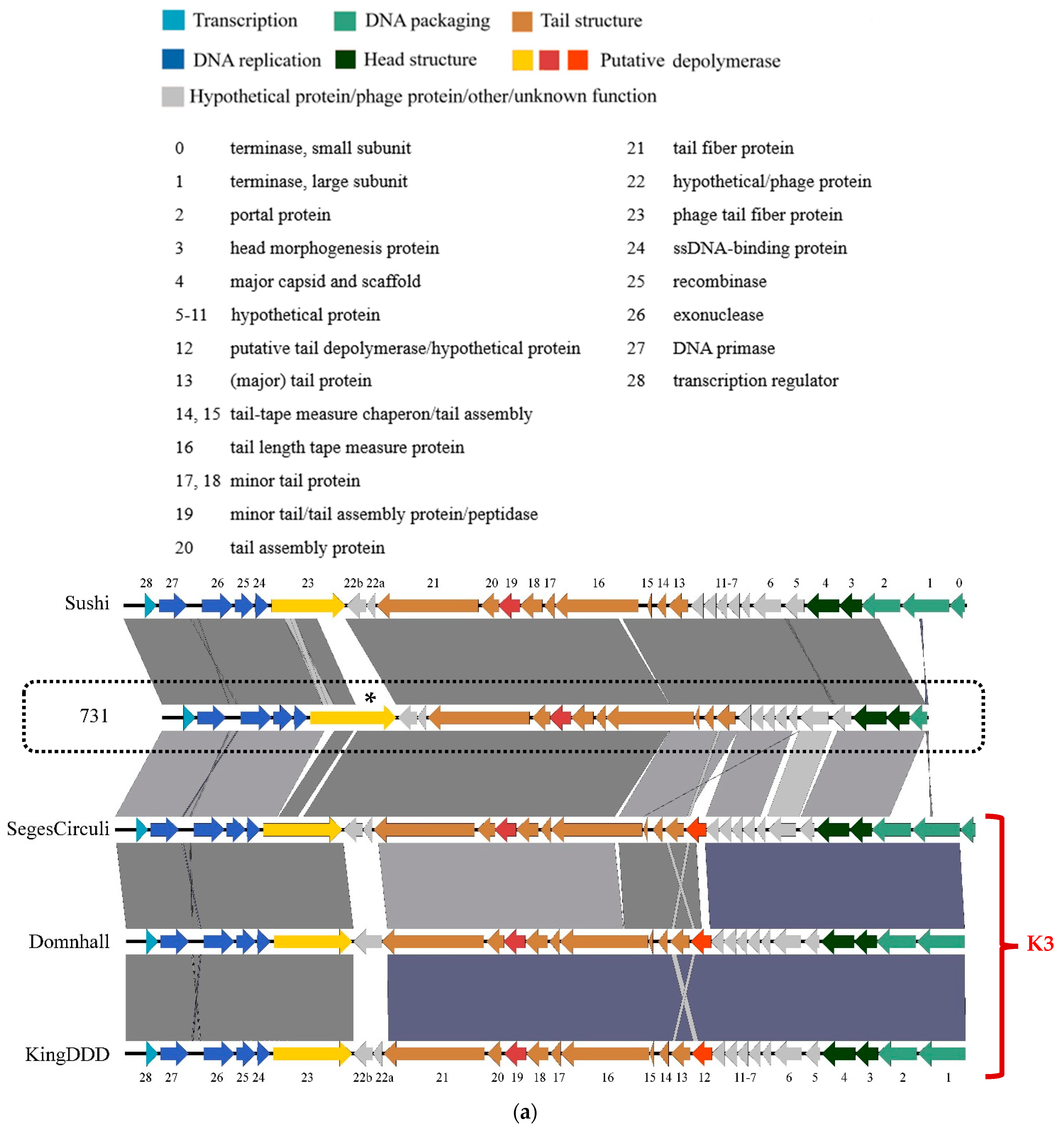 Microorganisms 11 00669 g006a