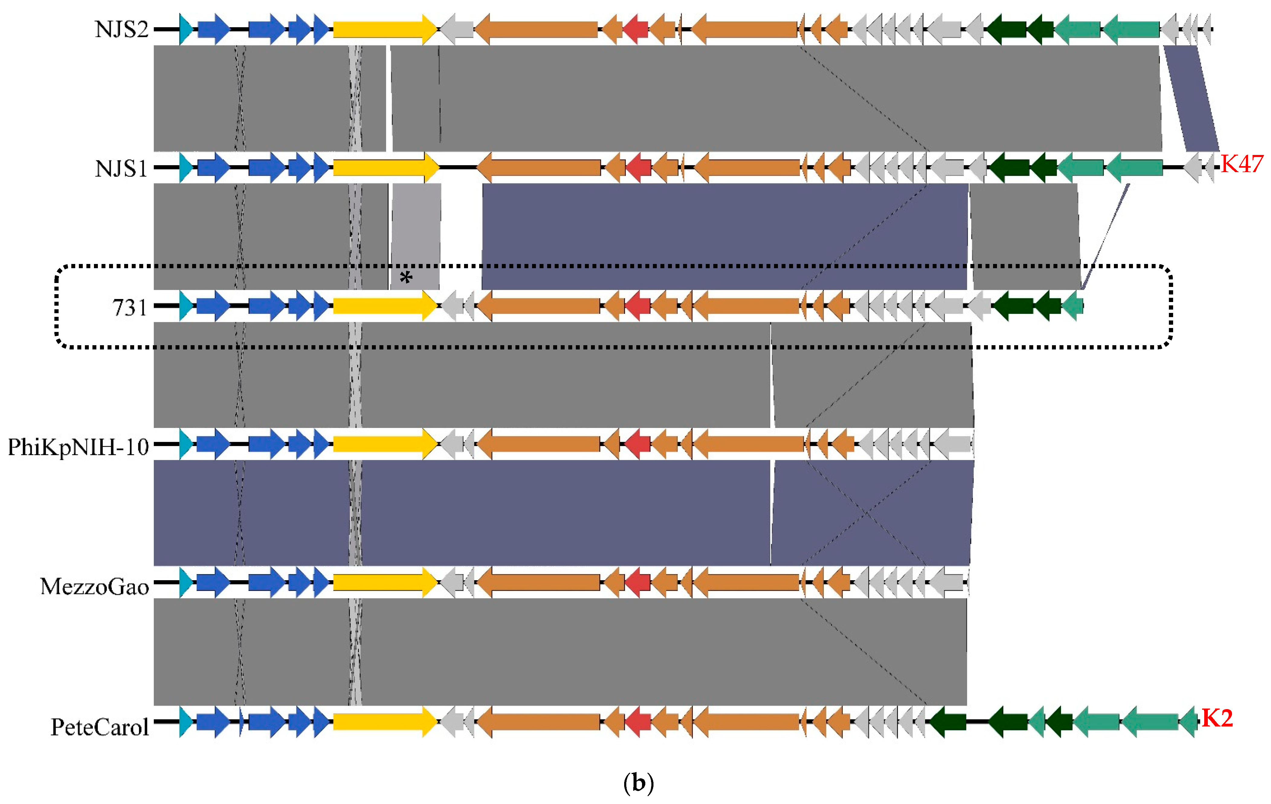 Microorganisms 11 00669 g006b