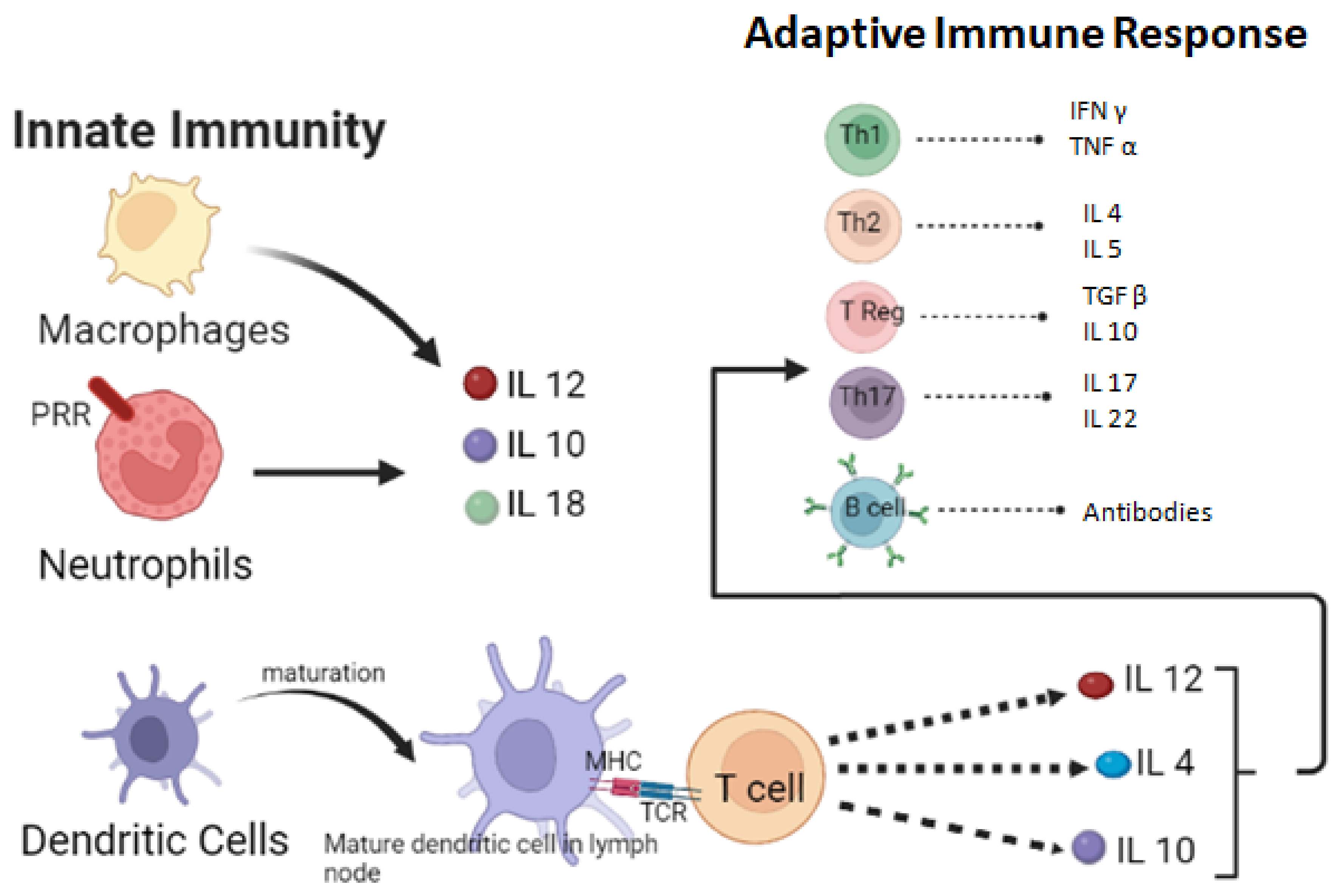 Microorganisms 11 00671 g002 Microorganisms 11 00671 g002